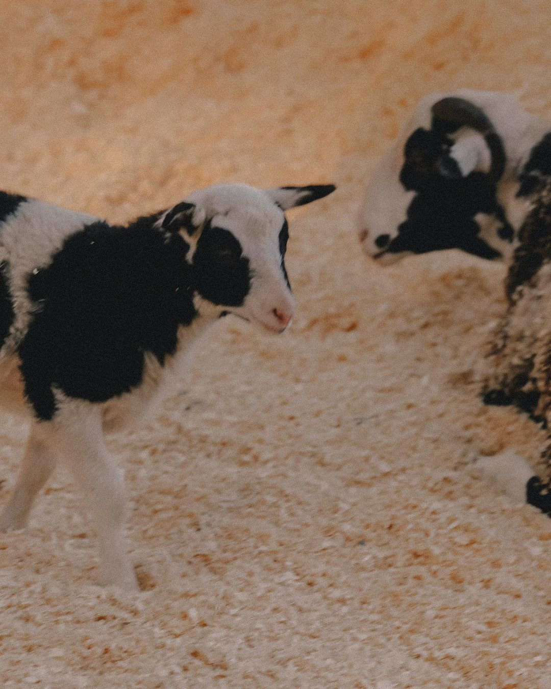 ❀. Честные истории о жизни города и его людях