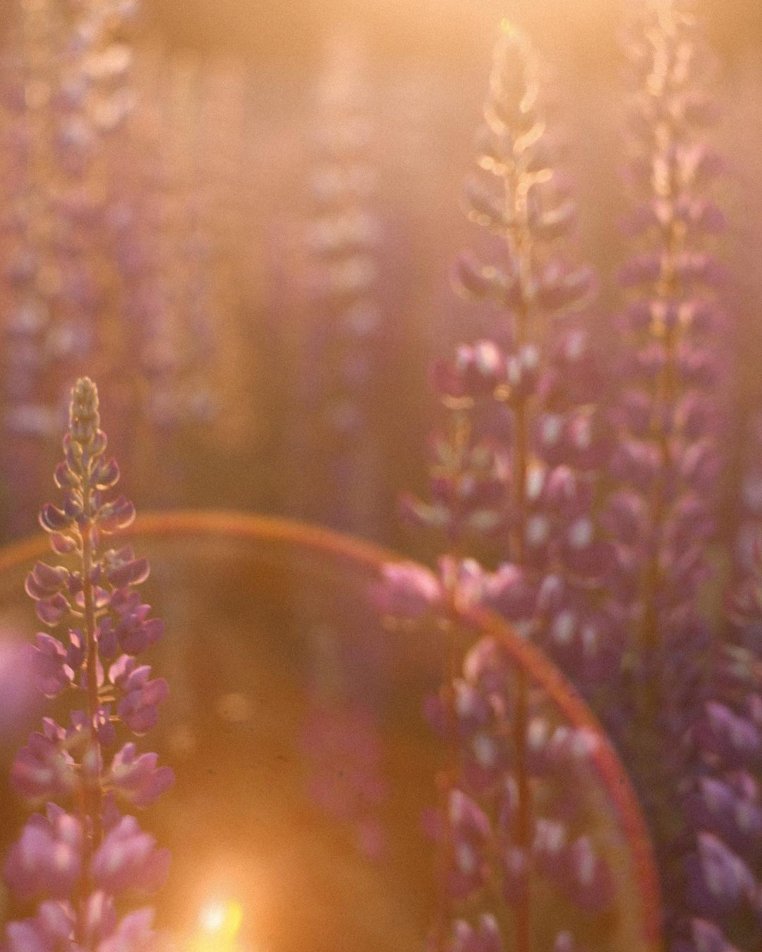 ♡. Честные истории о жизни города и его людях