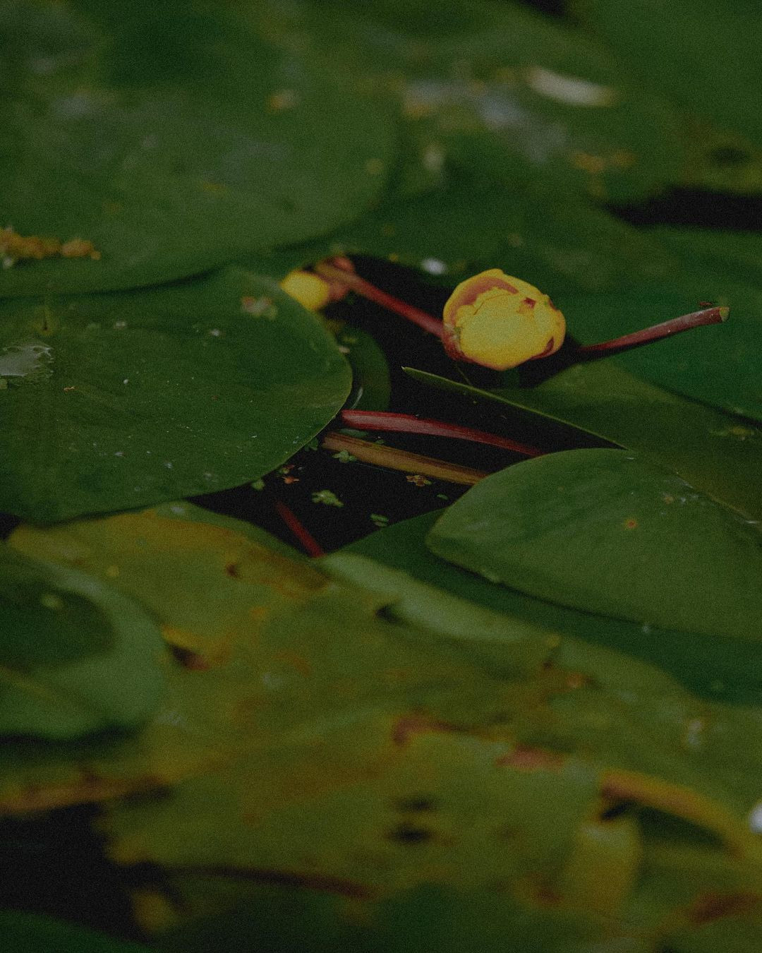 Группа «Марфы». Честные истории о жизни города и его людях