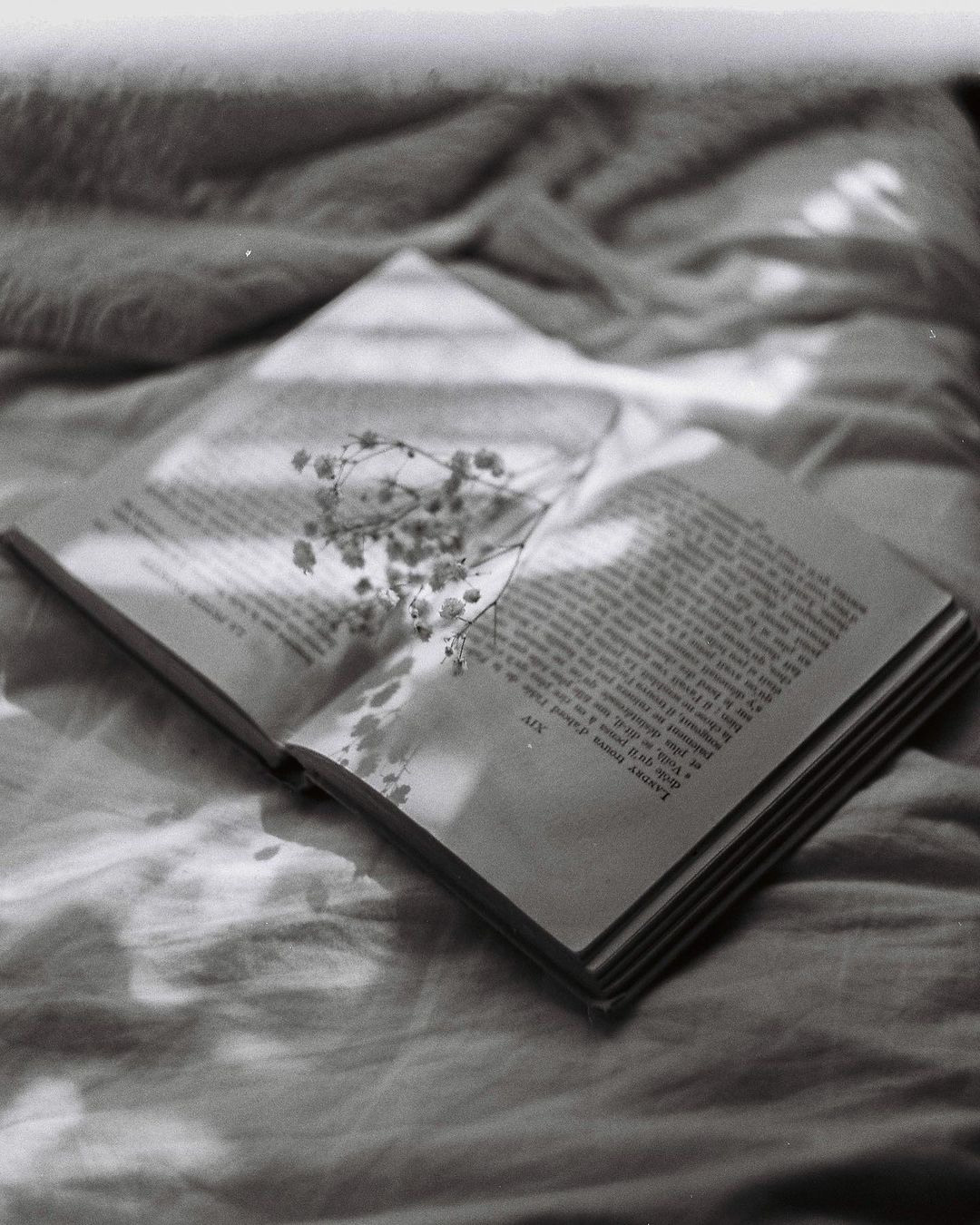 ❀. Честные истории о жизни города и его людях