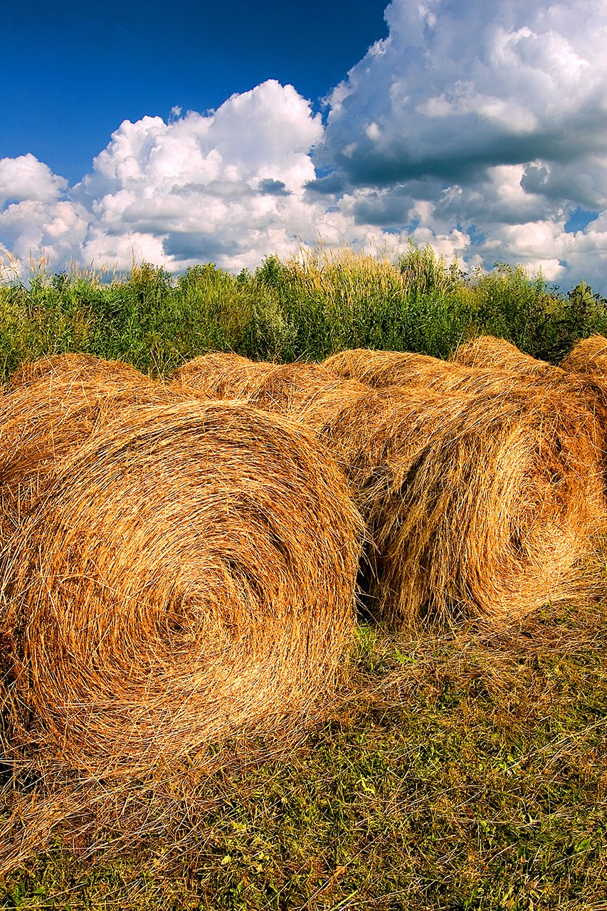 РАЗНОЕ. Андрей Пономарёв