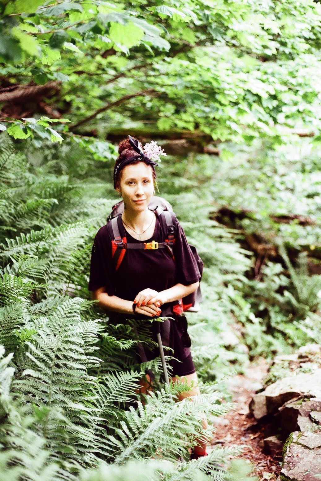 Плёнка. Главная