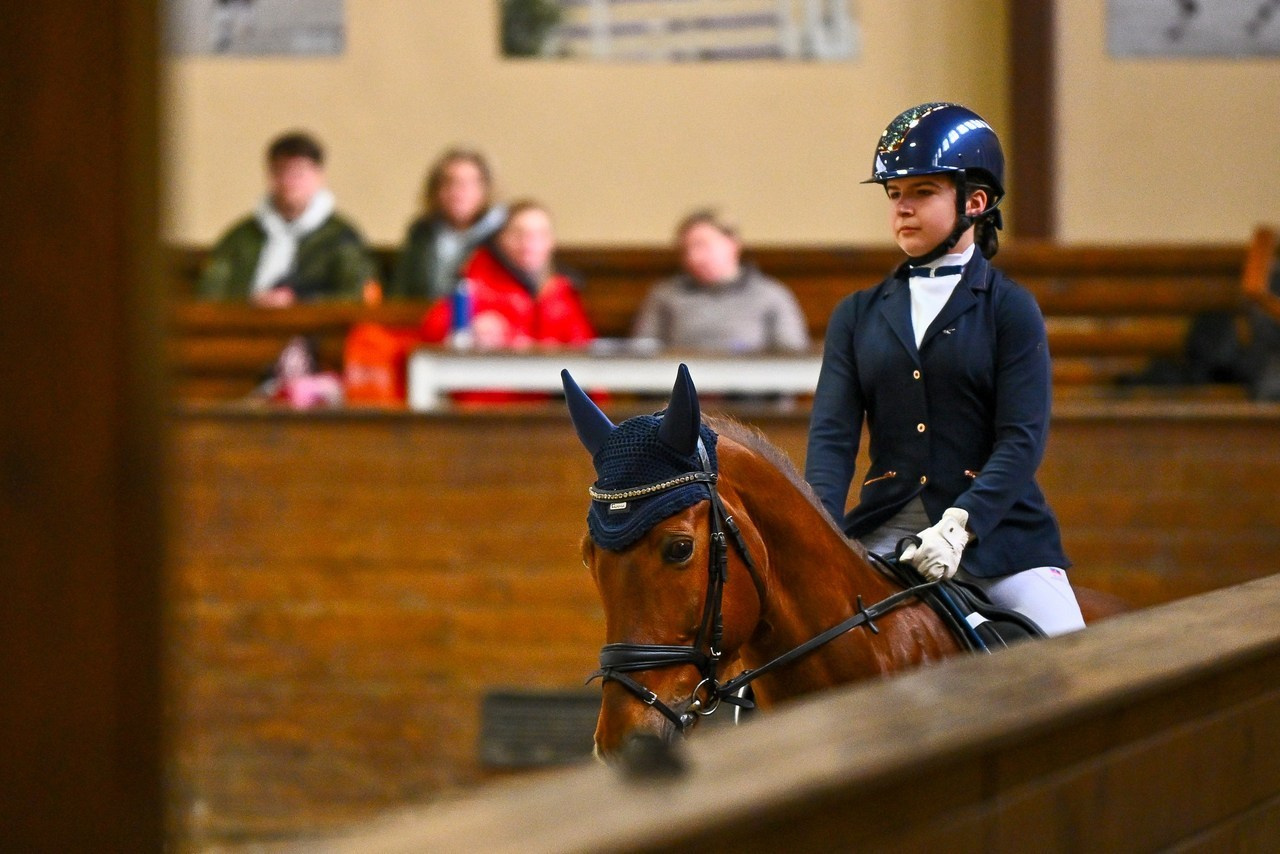 Отзывы. ТУРНИРНАЯ КОННАЯ ФОТОГРАФИЯ, Руднева Ольга и Евгений Адеев