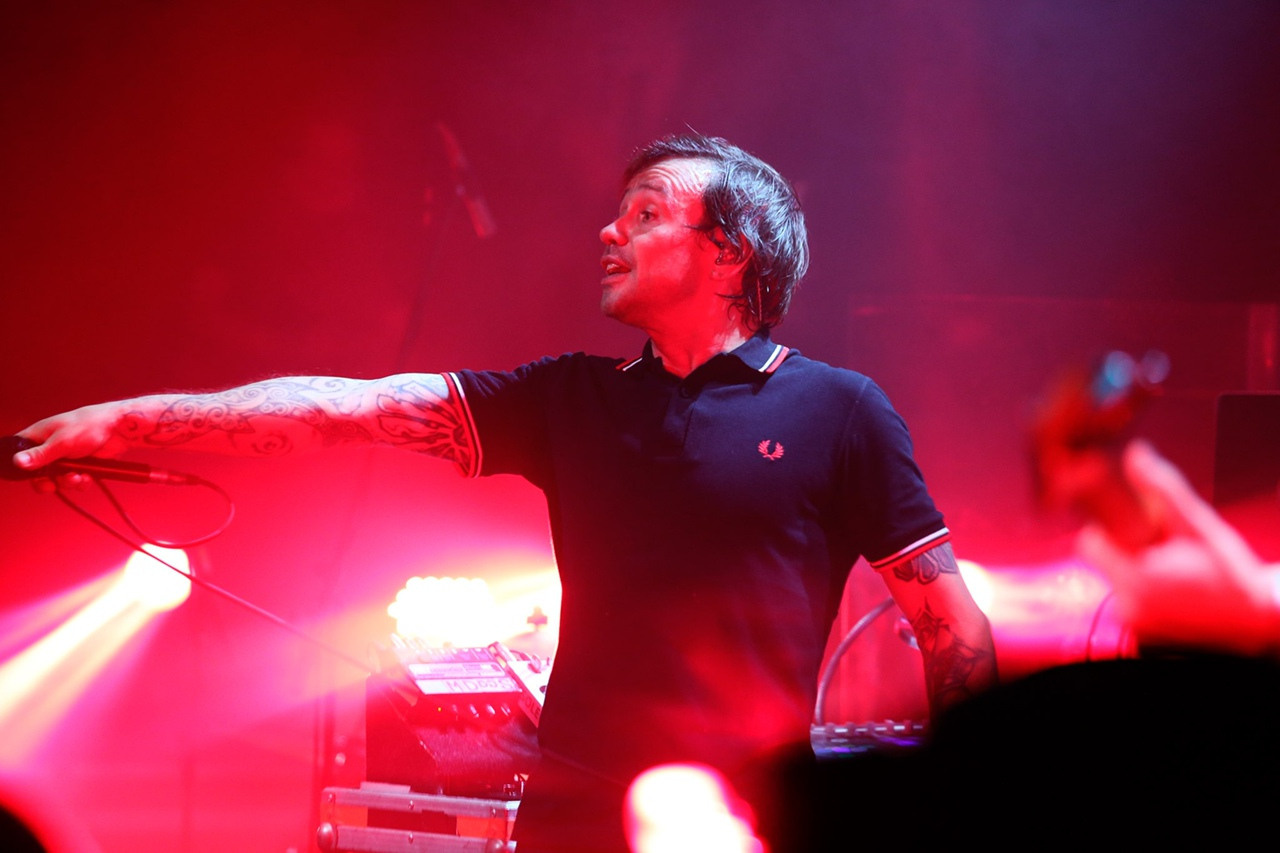 Dolphin. Фотограф Дарья Комарова