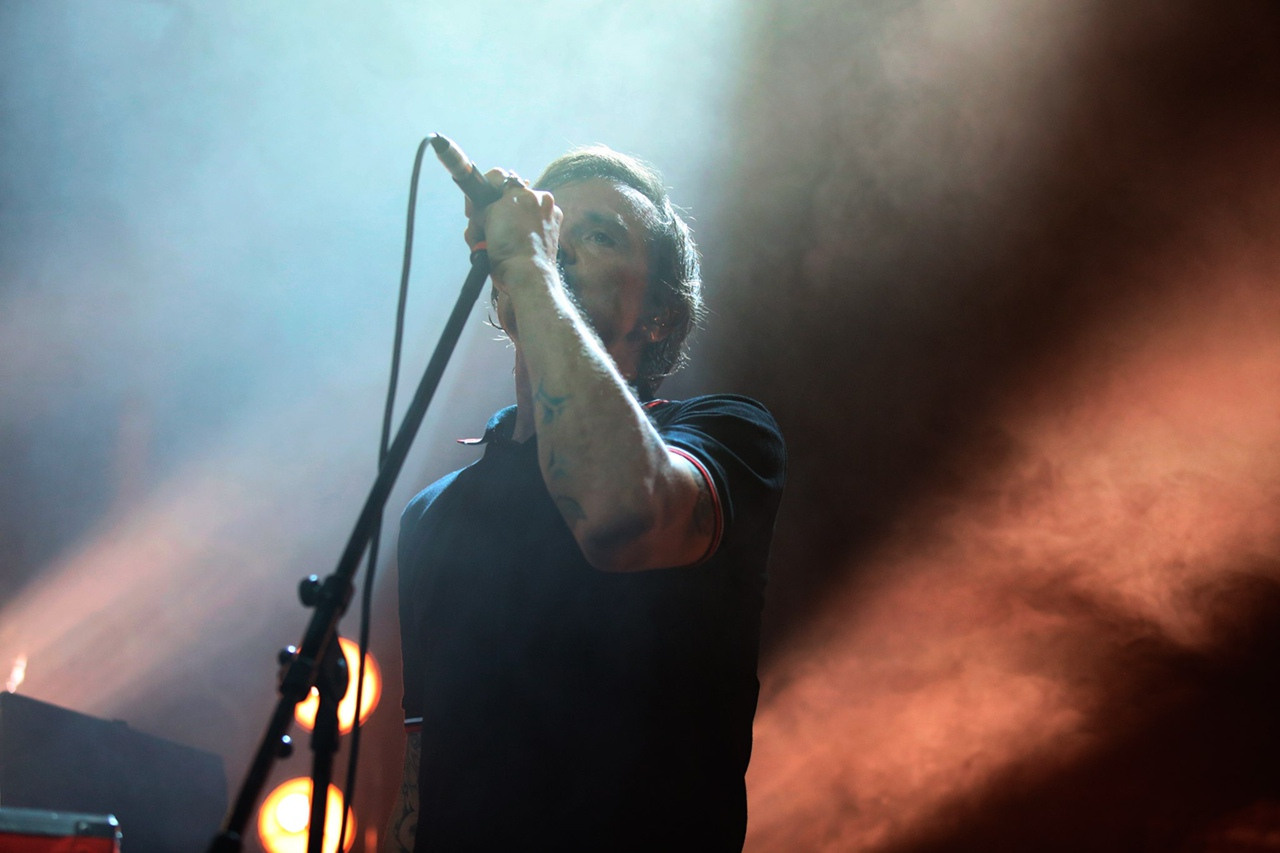 Dolphin. Фотограф Дарья Комарова