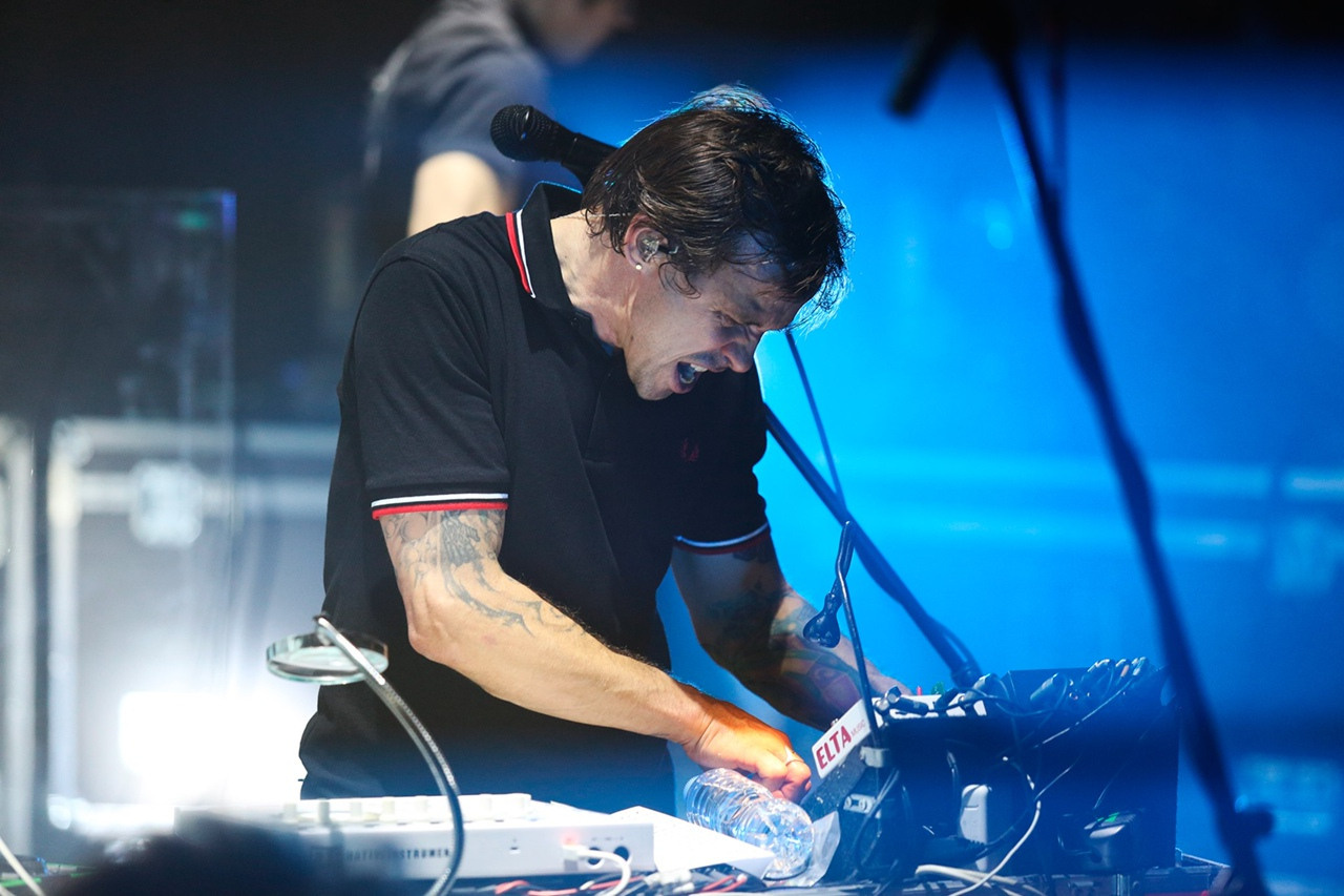 Dolphin. Фотограф Дарья Комарова