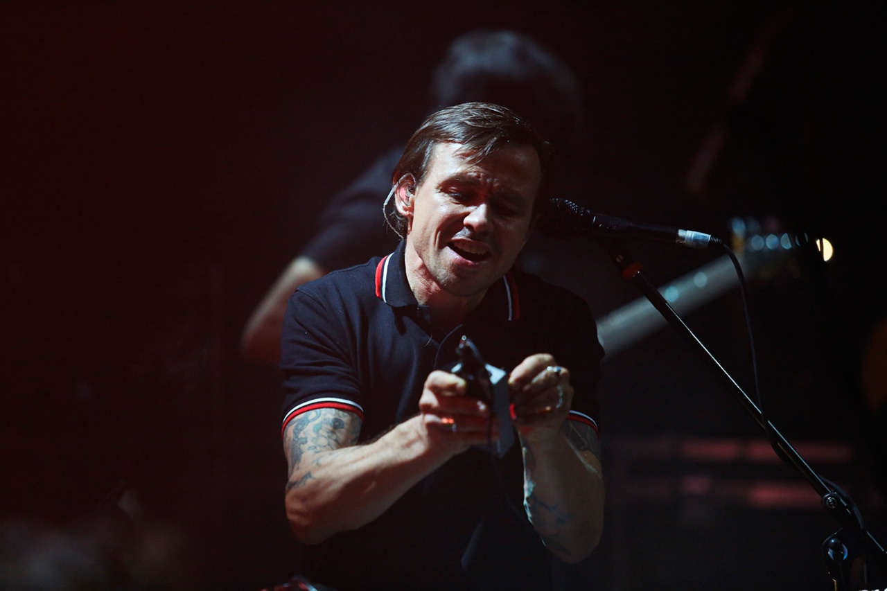 Dolphin. Фотограф Дарья Комарова