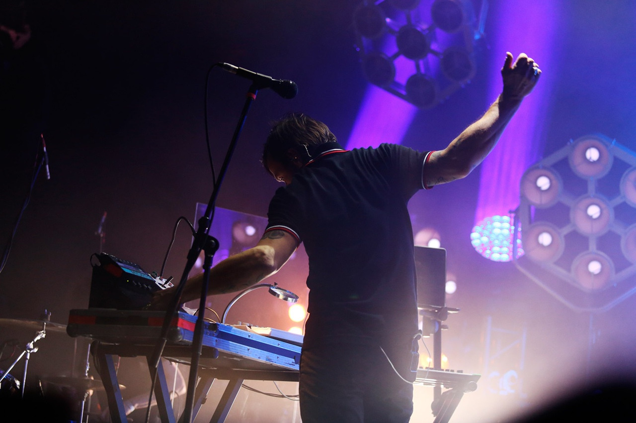 Dolphin. Фотограф Дарья Комарова