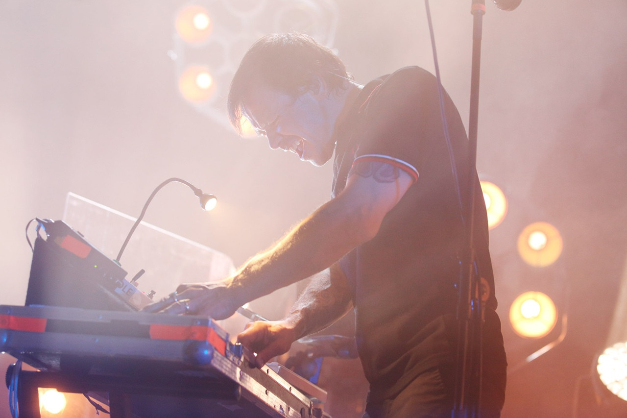 Dolphin. Фотограф Дарья Комарова