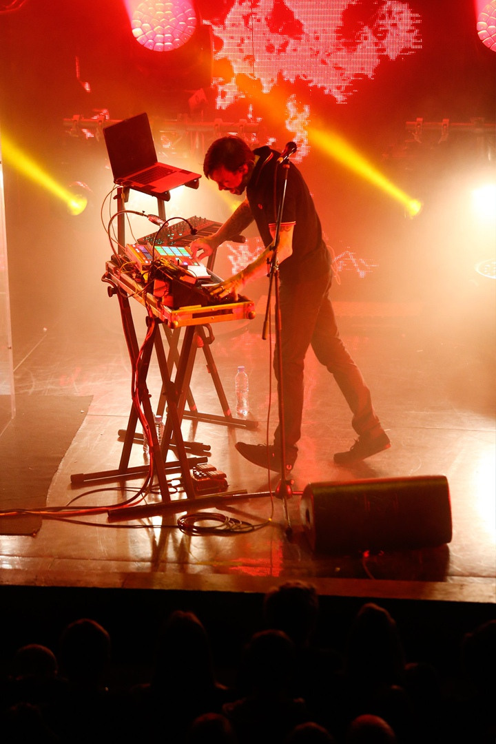 Dolphin. Фотограф Дарья Комарова