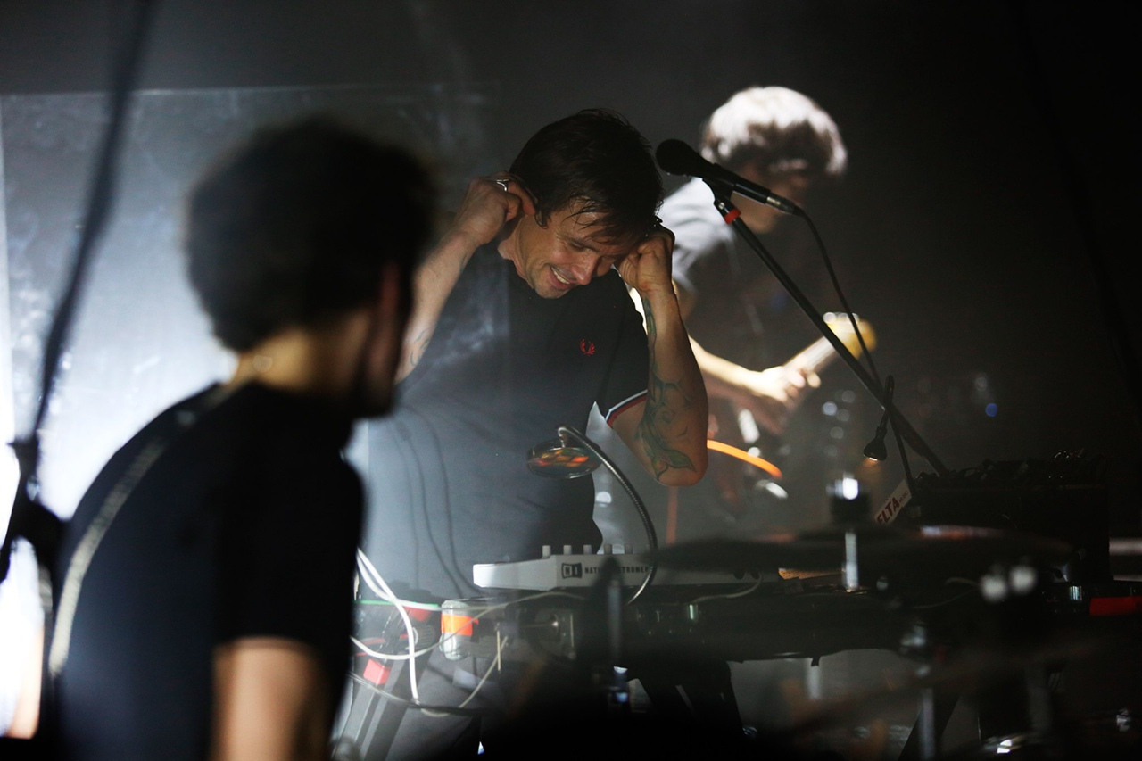 Dolphin. Фотограф Дарья Комарова