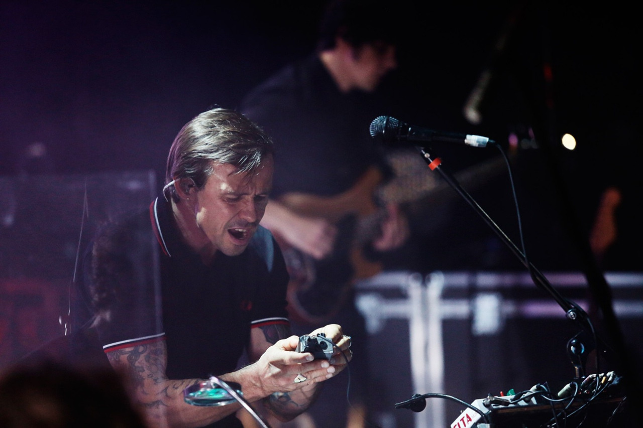 Dolphin. Фотограф Дарья Комарова