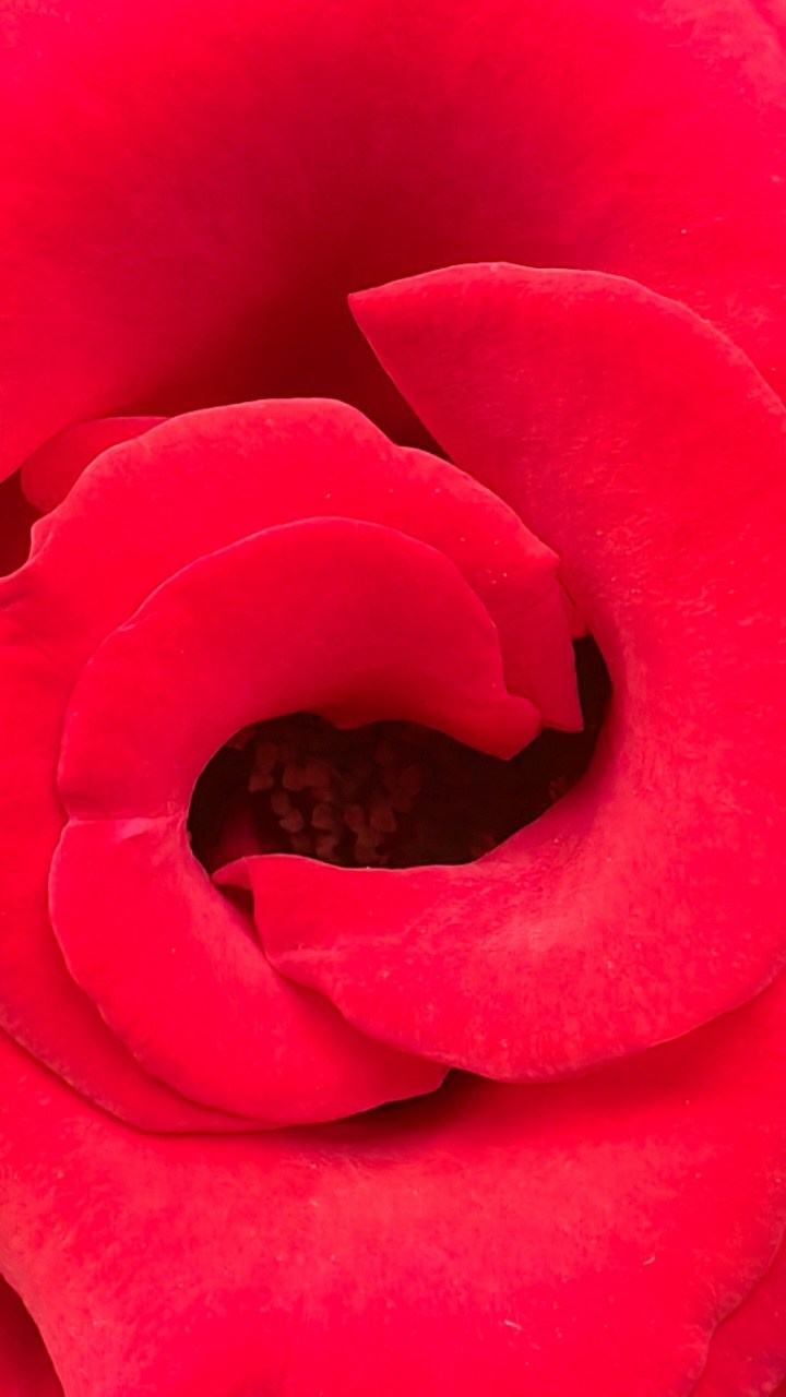 Академия фотографии. Фото/Ретушь/Обучение