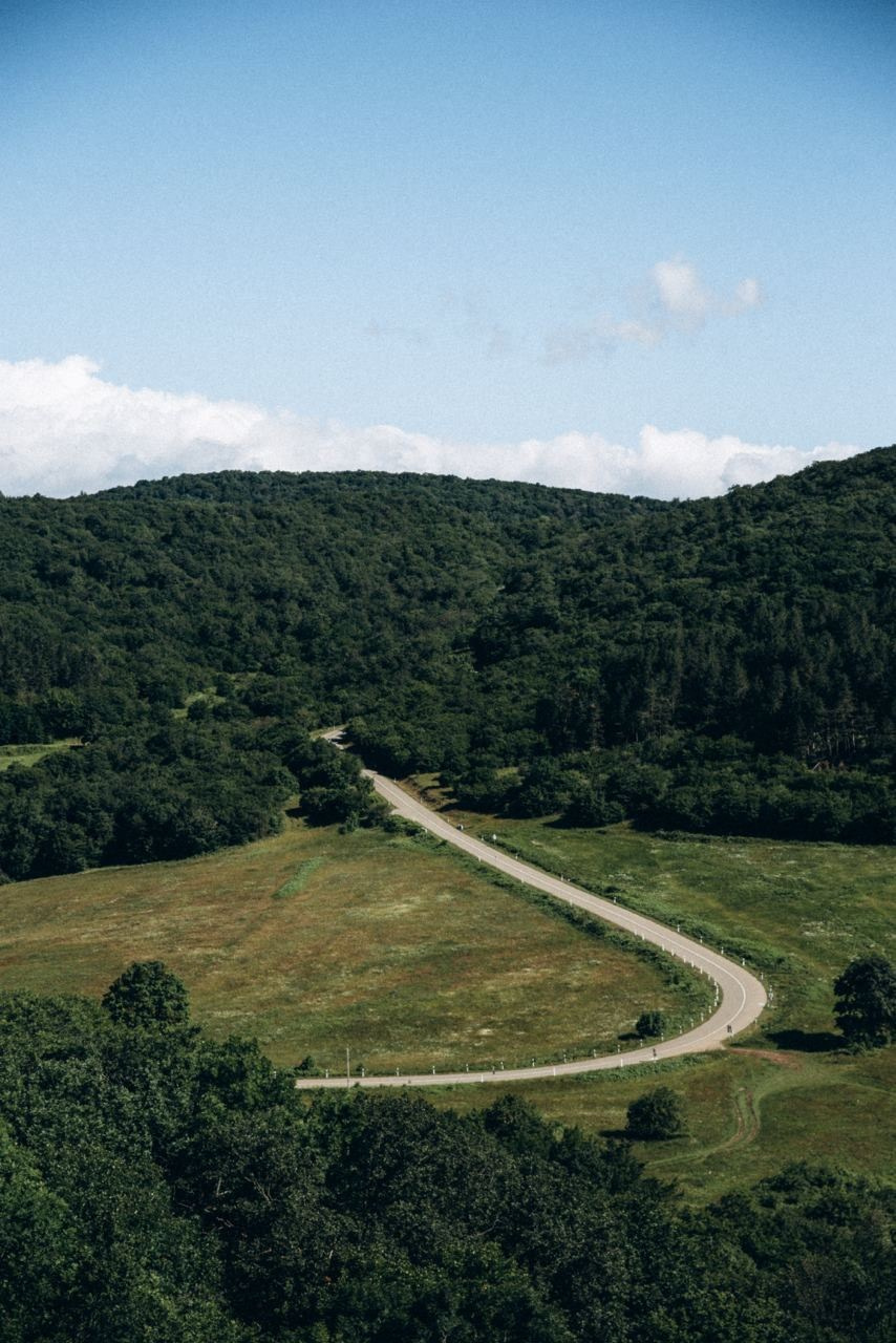 Биртвиси, Грузия 🇬🇪 «Honey Trip». Anita_photo