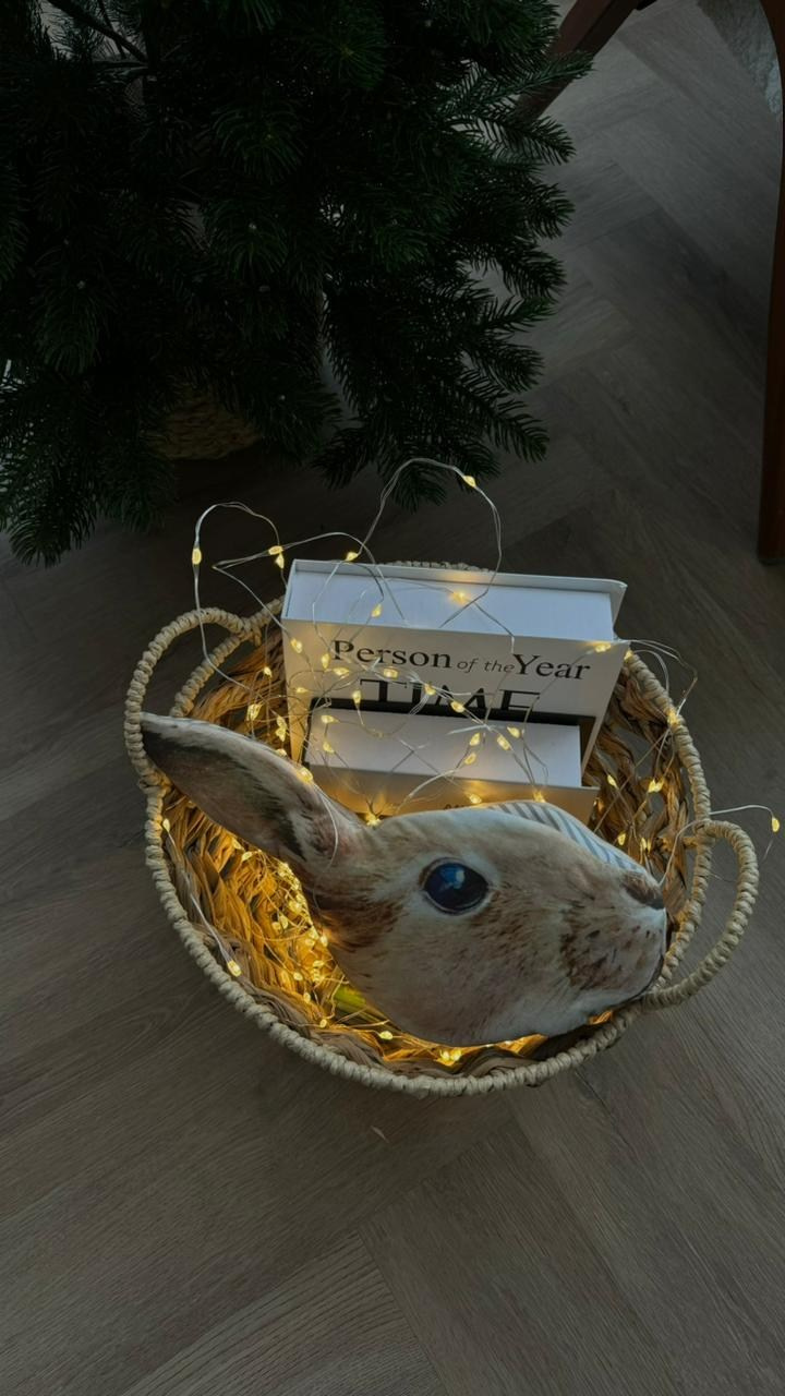 Аппартаменты. Фотограф г. Хабаровск. Семейные и индивидуальные съёмки