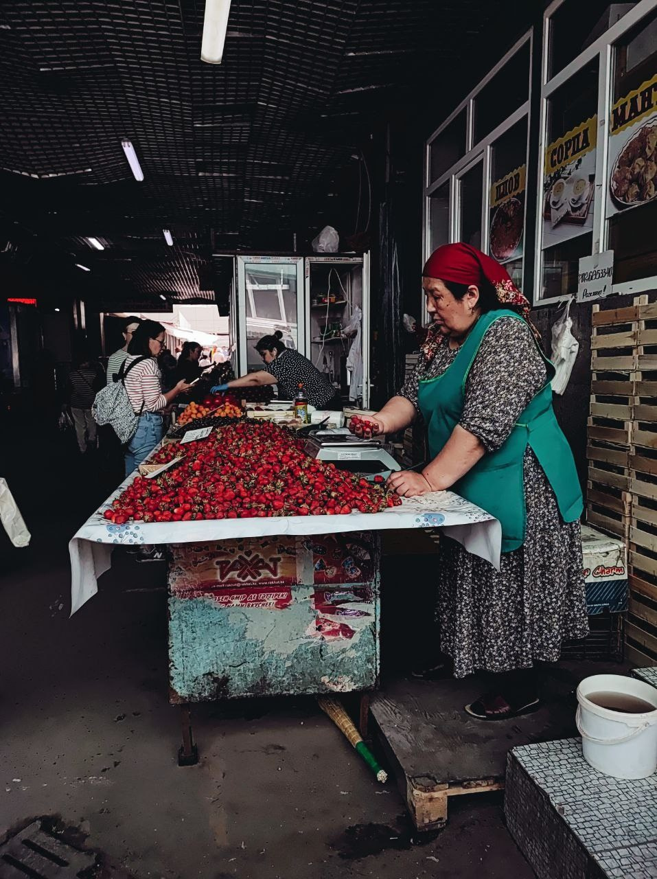 Намобилкус казахский. Репортажный фотограф Алексей Пирязев
