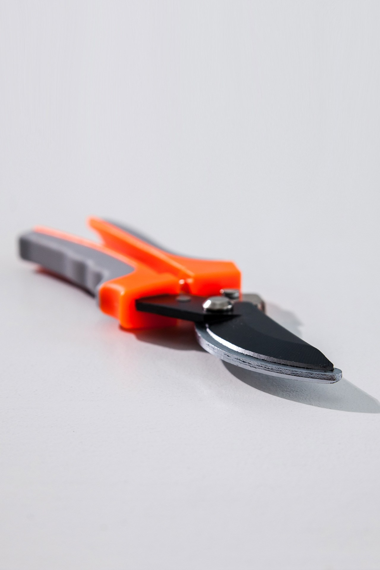 Секатор. Портретный, семейный, свадебный фотограф в Брянске Маргарита Василькова