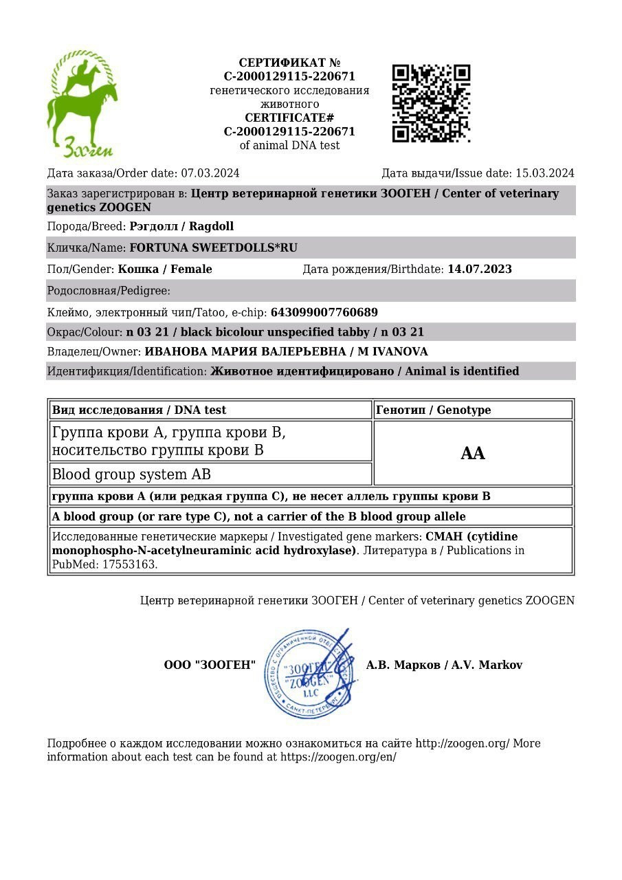 Документы производителей Loyal Adore. Питомник рэгдолл Loyal Adore