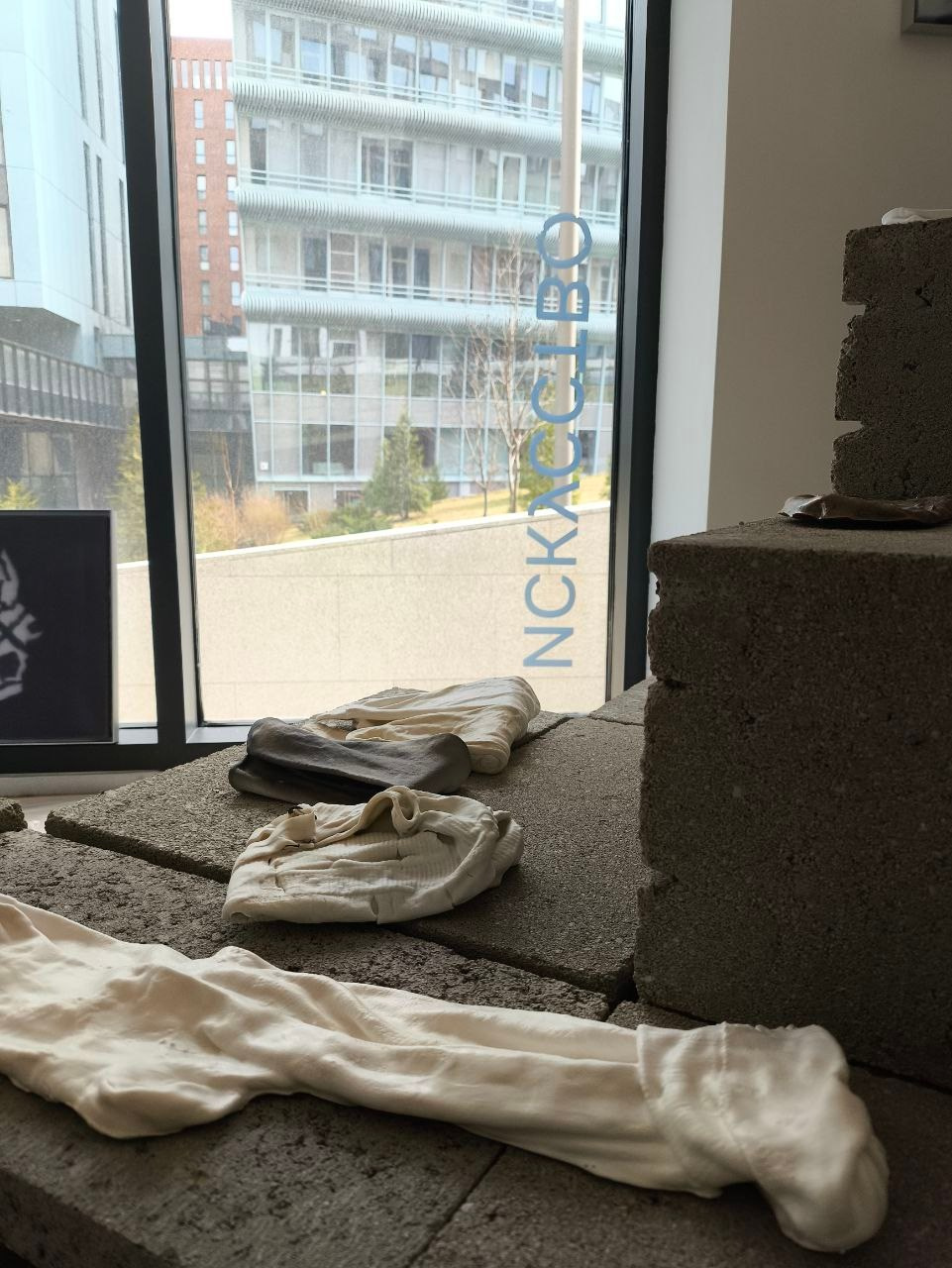 Проект *Стирание рутин*. Семенова Елизавета художник