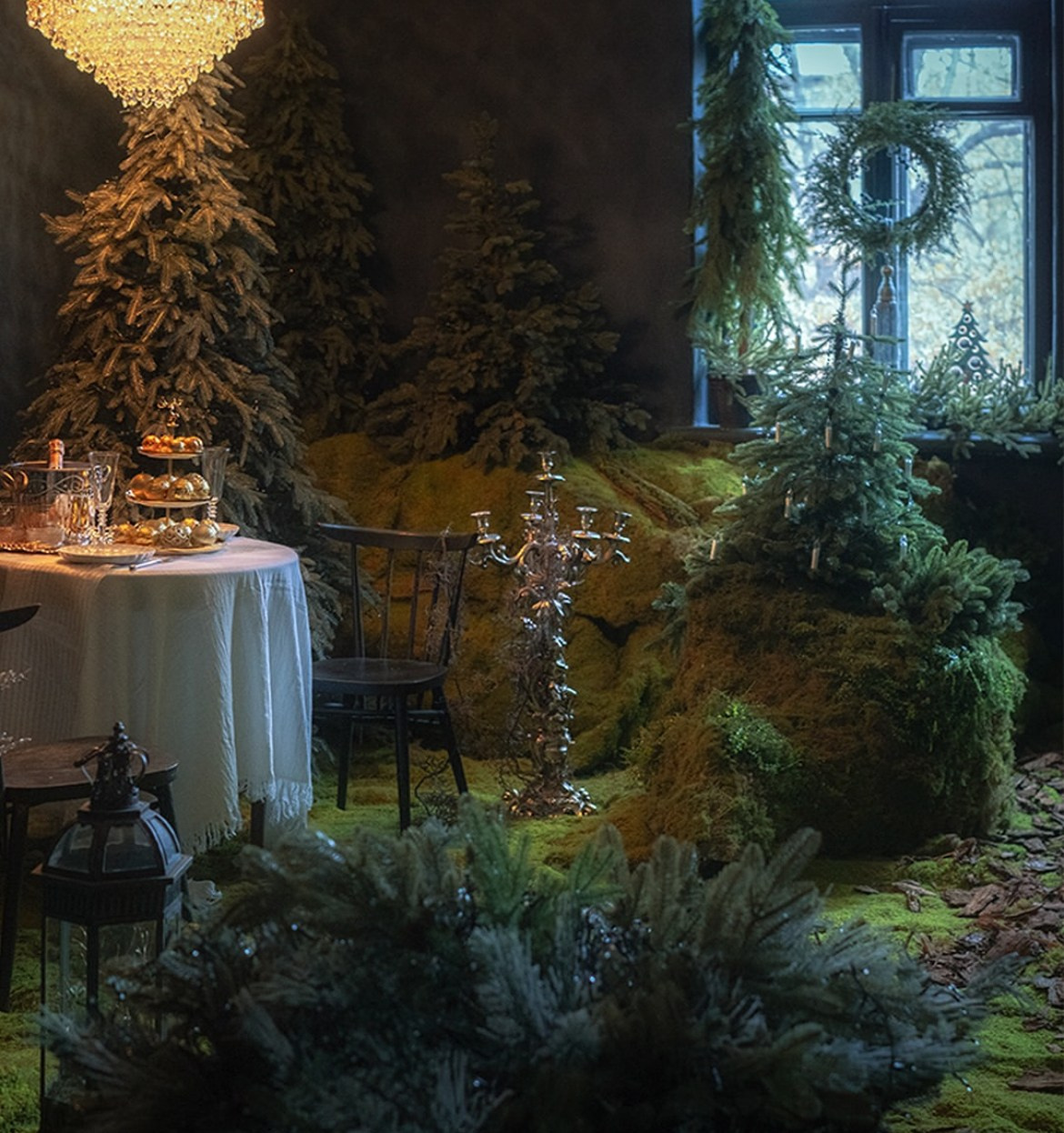 Forest. Фотограф в Алматы