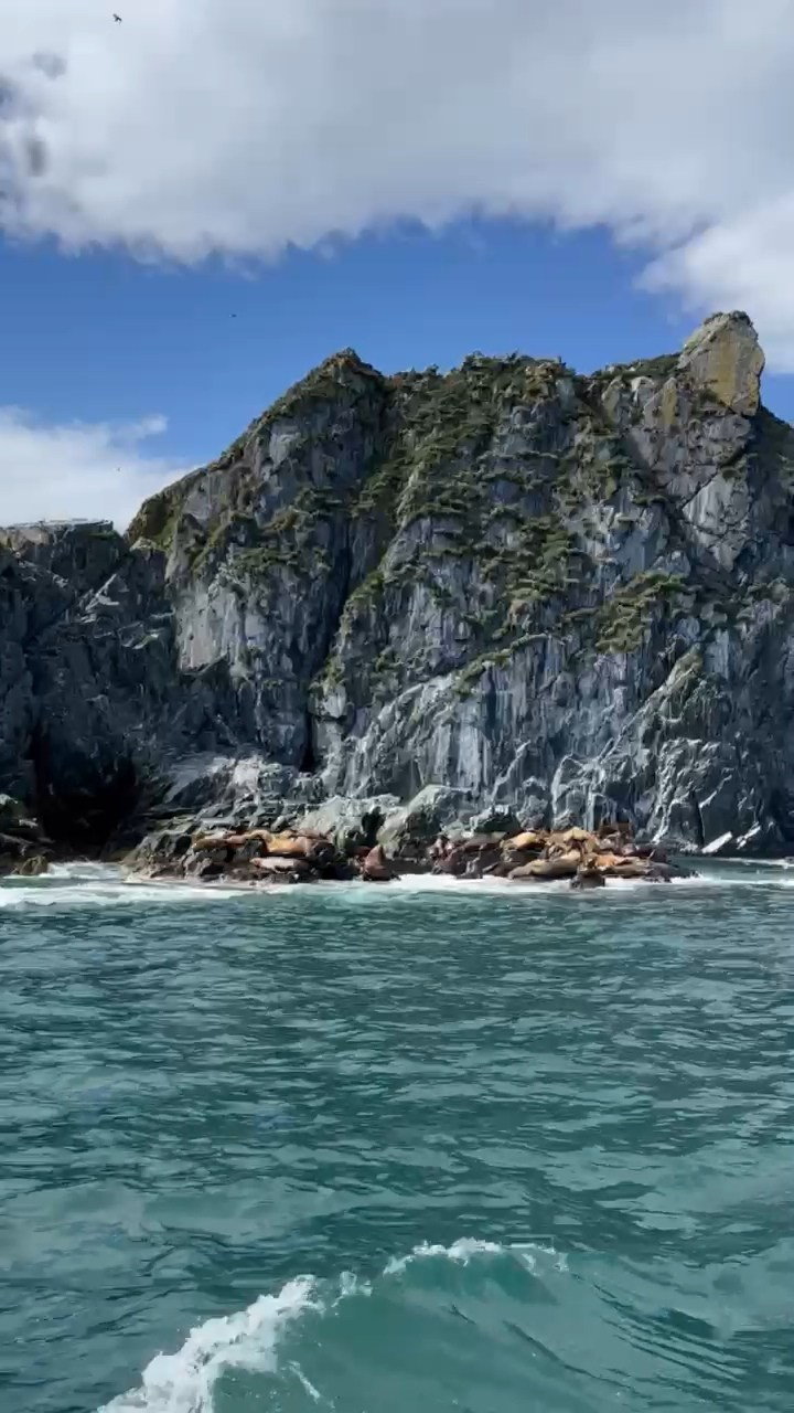 Морская прогулка к острову Старичков. Экскурсионные туры по Камчатке