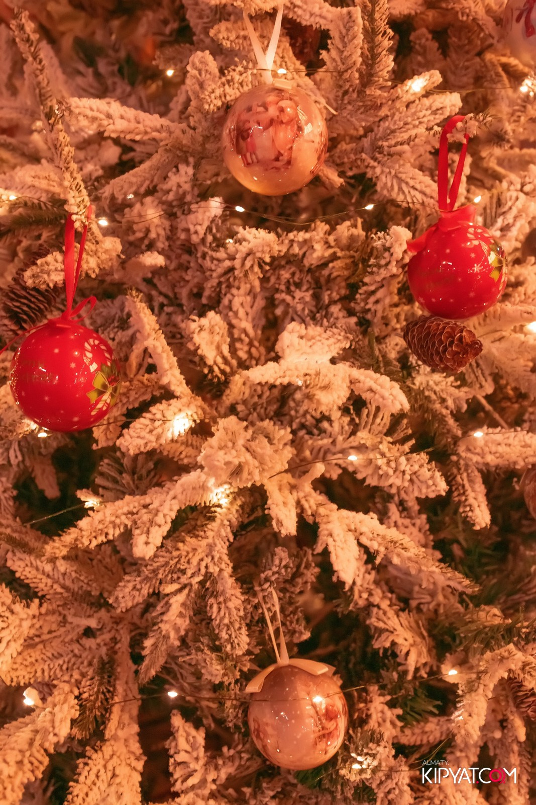 MODI RESTORANCHIK. КИПЯТКОМ АЛМАТЫ!