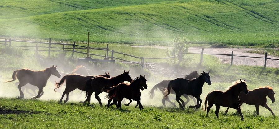 ФОТОЖУРНАЛИСТИКА. Репортажный фотограф в Минске. Алексей Матюшков