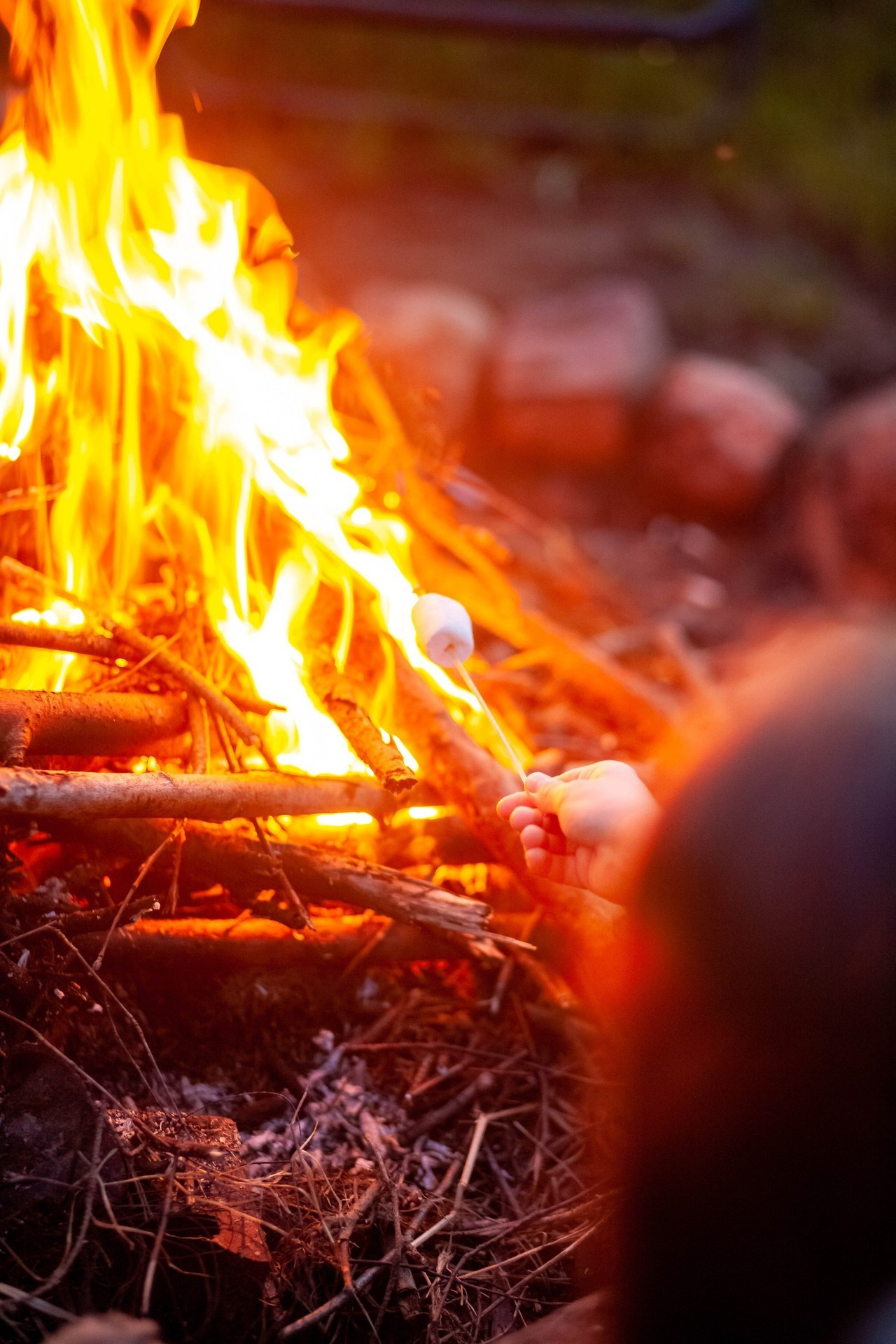 Отзывы. Фотограф Татьяна Воронова, Детские и Семейные фото