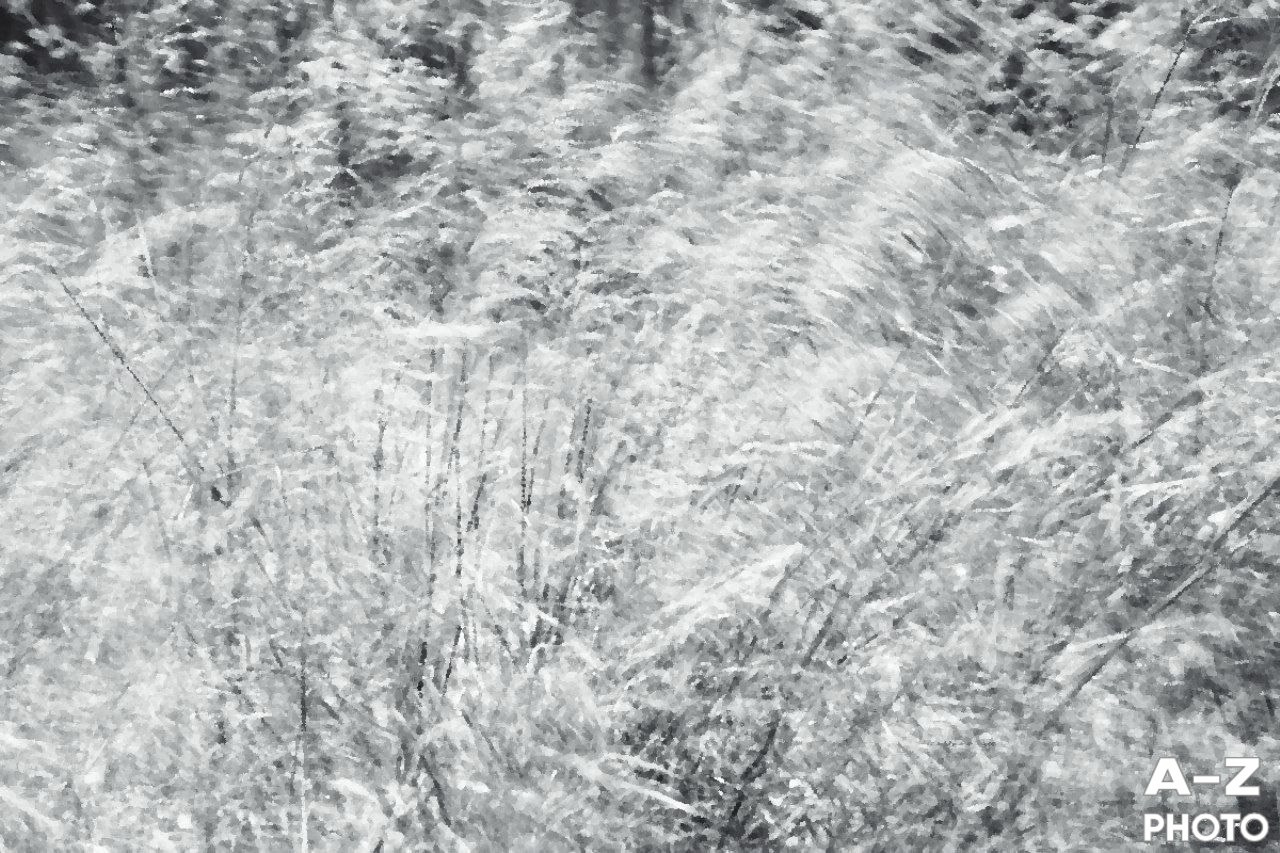 #ФОТОНЕДЕЛИ 20.04.2026. Женский семейный фотограф Тула Москва Захарова Анна