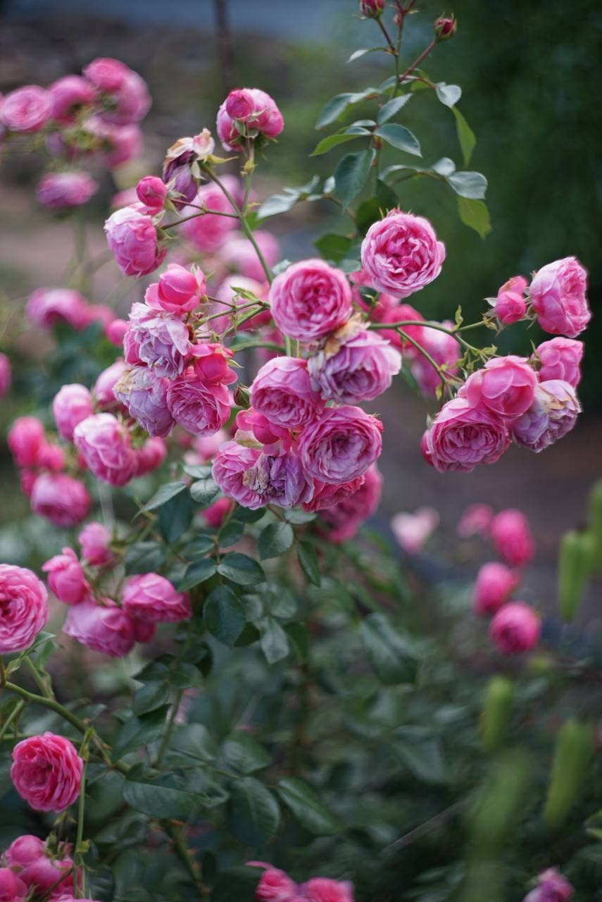 Портфолио. Фотограф из Чистополя