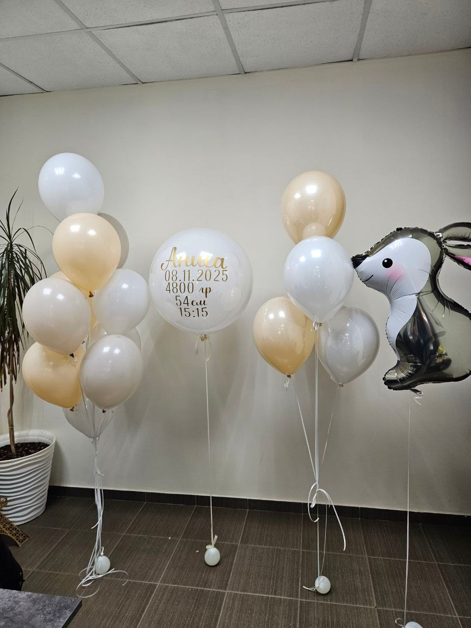 Шары. Главная