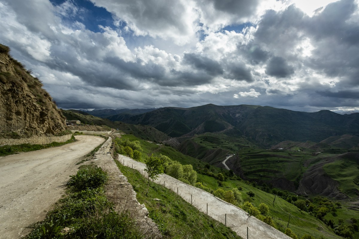 Природа. Photomantis