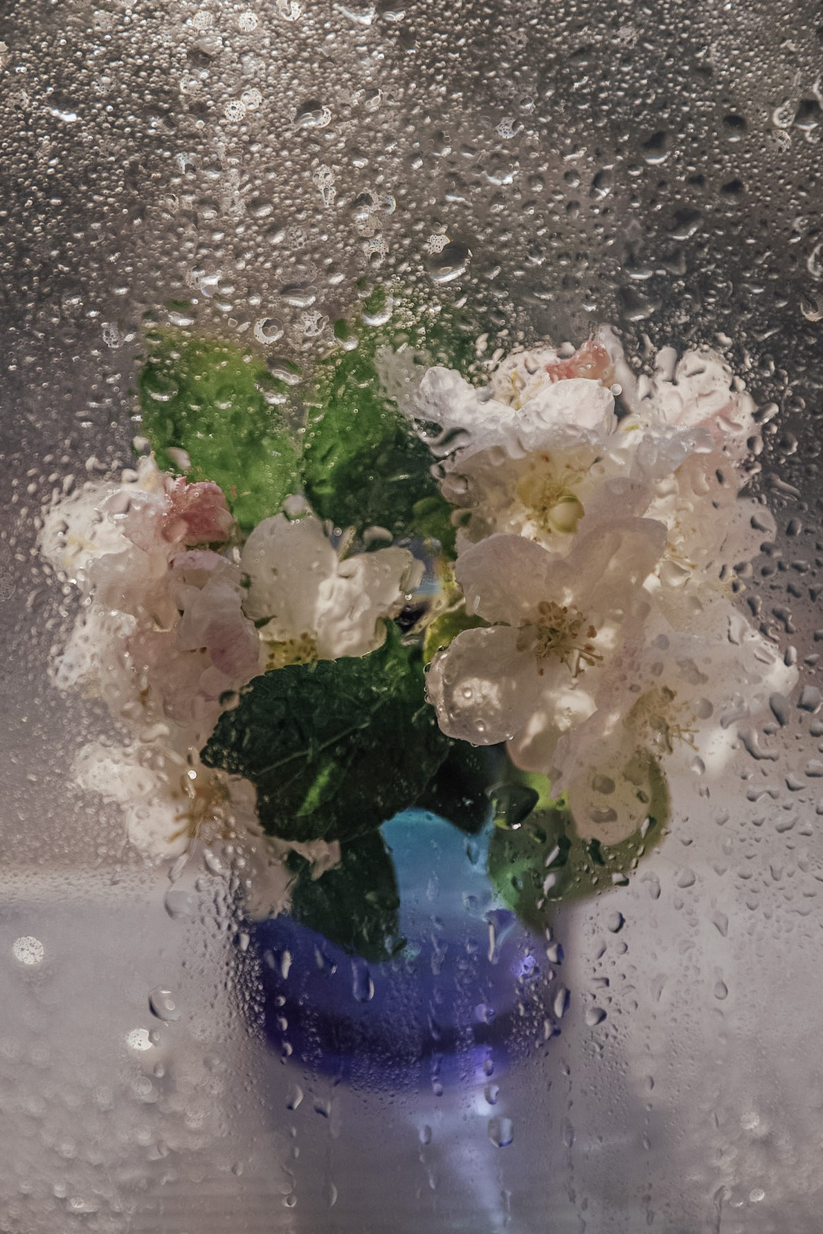 Тычинки и пестики