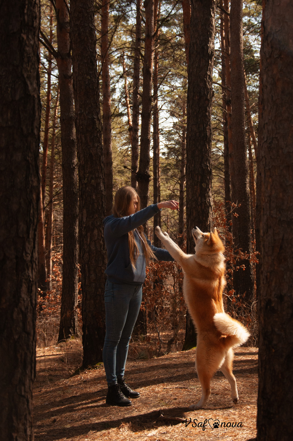 Алена, Кирилл и Фуми 09.04.2021. Фотограф анималист Благовещенск. Сафонова Виктория