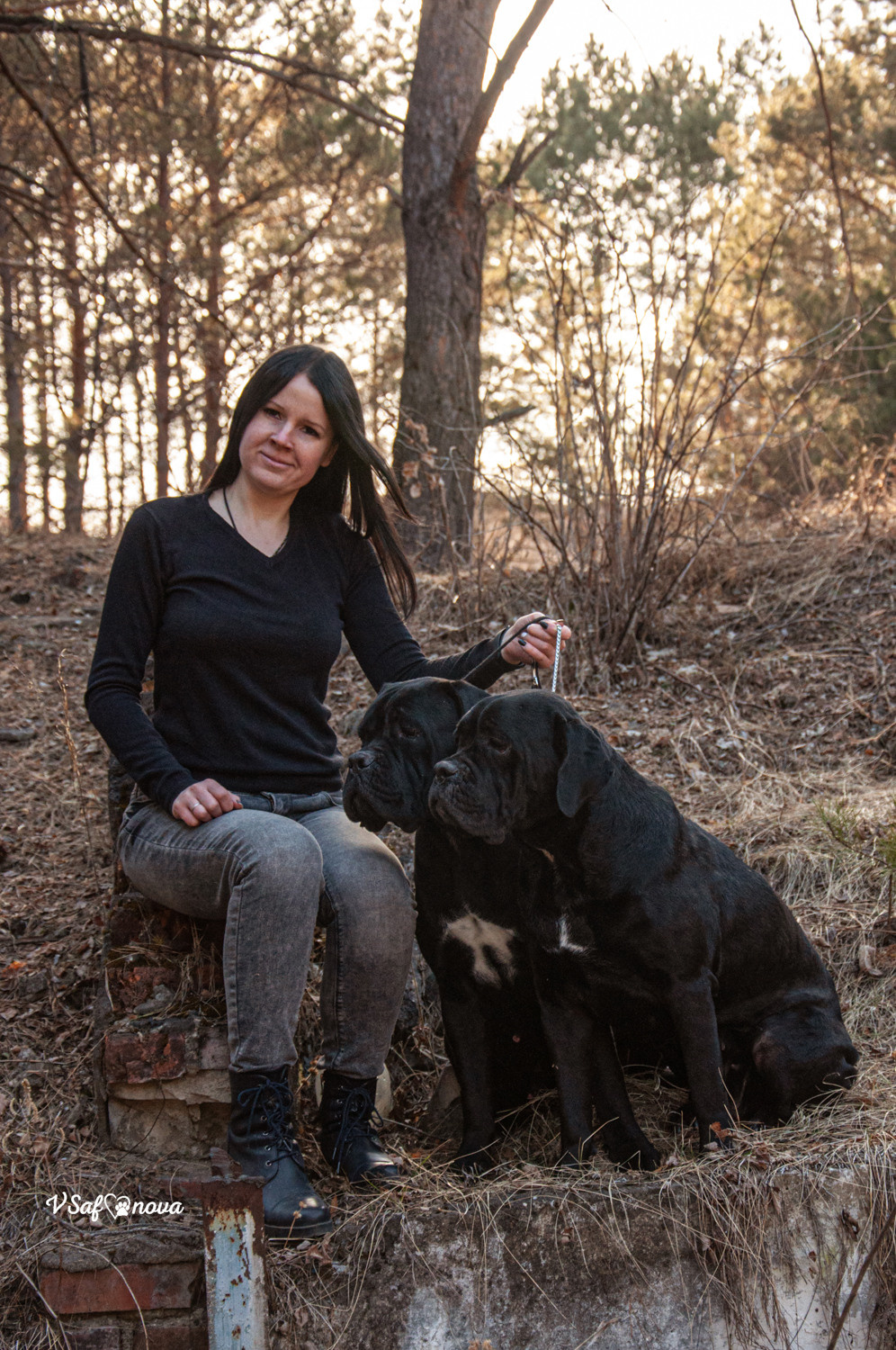 Таня, Прада и Тори 09.04.2021. Фотограф анималист Благовещенск. Сафонова Виктория