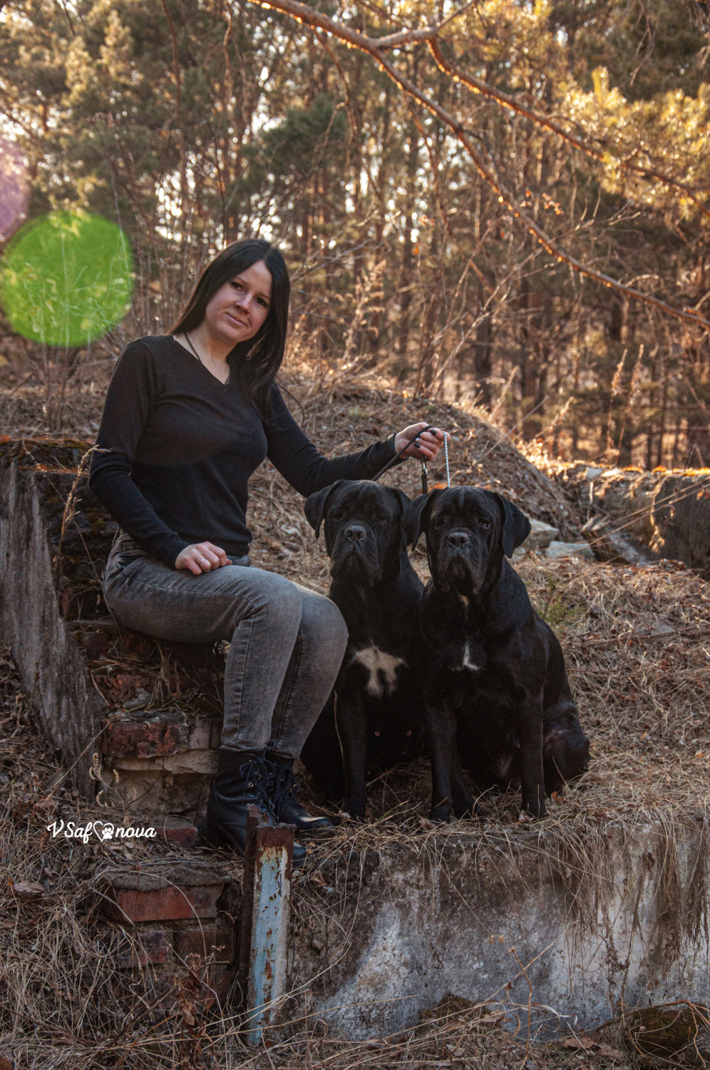 Таня, Прада и Тори 09.04.2021. Фотограф анималист Благовещенск. Сафонова Виктория