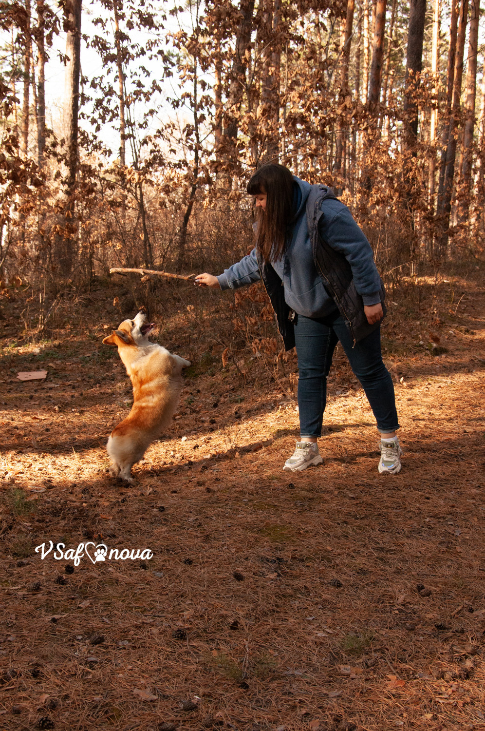 Локки и его команда 04.04.2021. Фотограф анималист Благовещенск. Сафонова Виктория