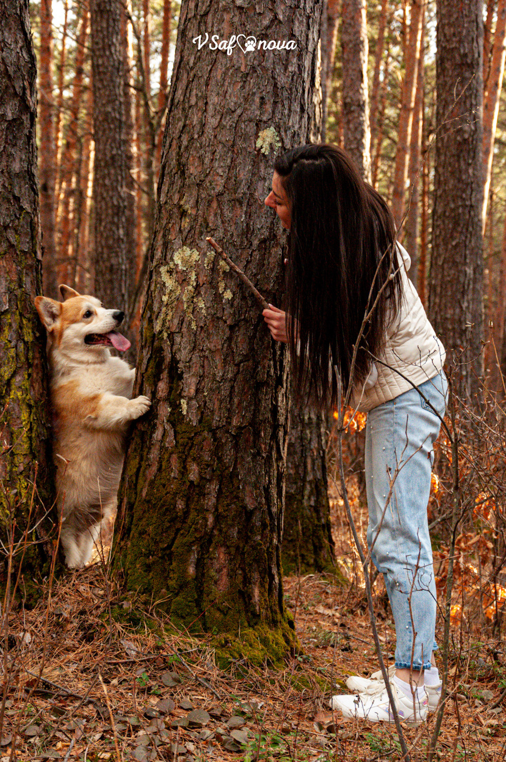 Локки и его команда 04.04.2021. Фотограф анималист Благовещенск. Сафонова Виктория