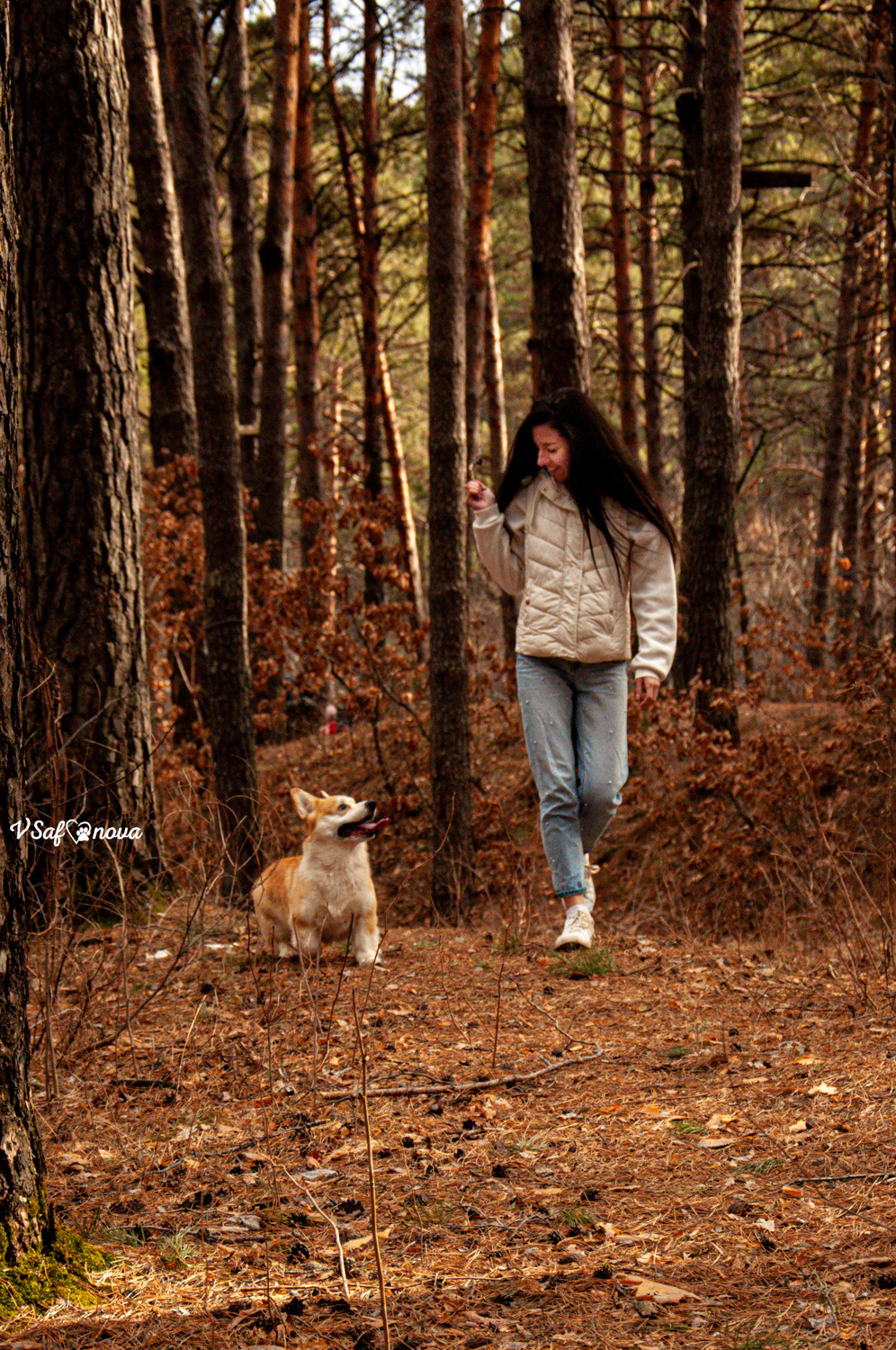 Локки и его команда 04.04.2021. Фотограф анималист Благовещенск. Сафонова Виктория