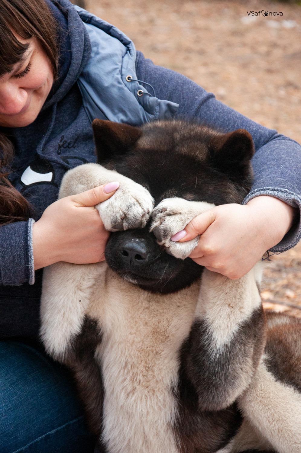 Аня и Дора 20.03.2021. Фотограф анималист Благовещенск. Сафонова Виктория