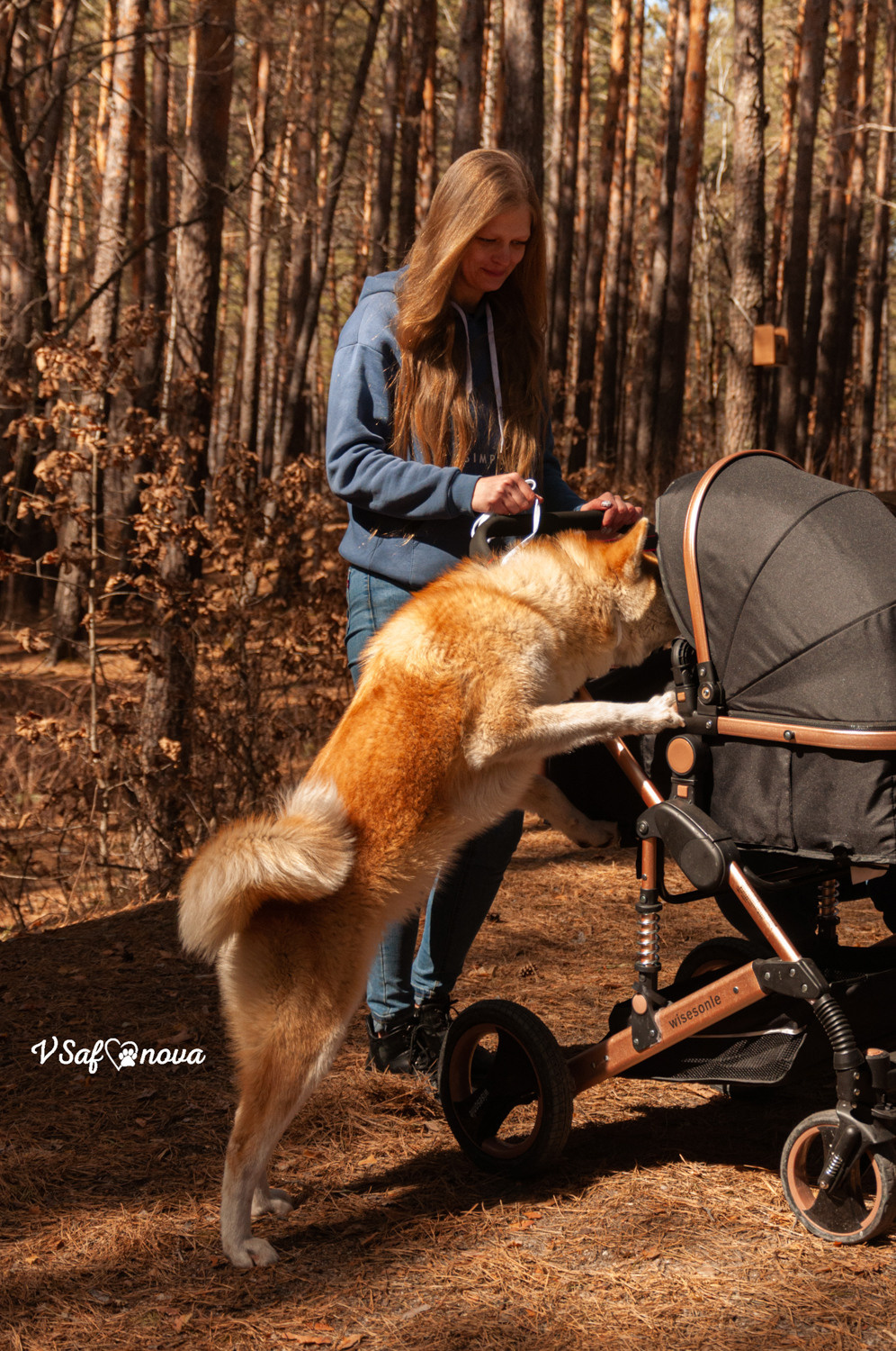 Алена, Кирилл и Фуми 09.04.2021. Фотограф анималист Благовещенск. Сафонова Виктория