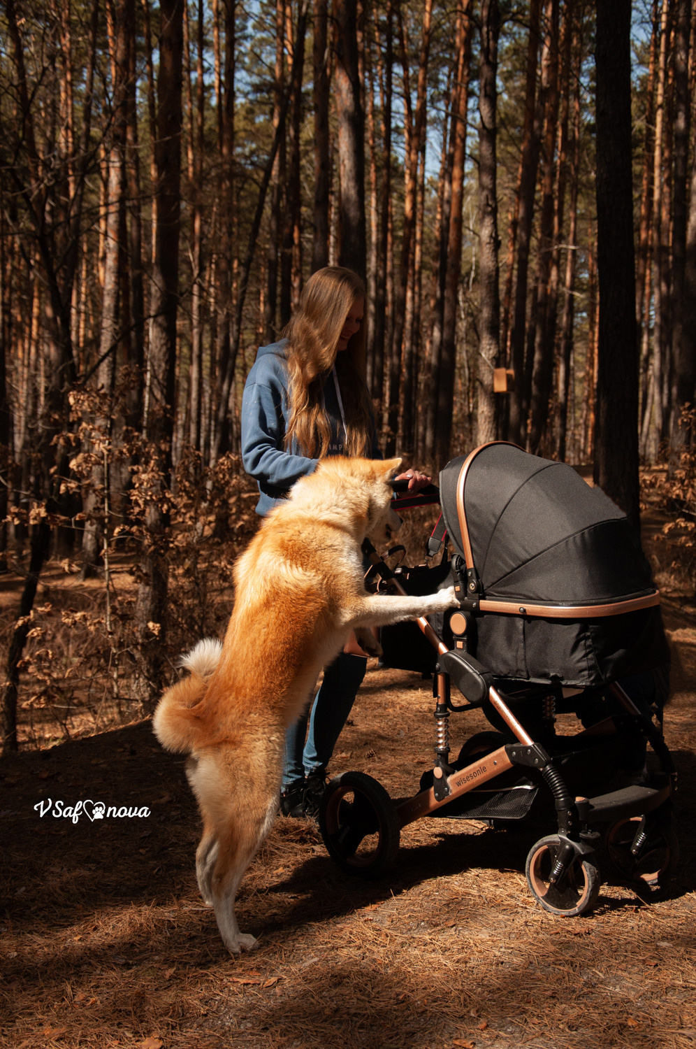 Алена, Кирилл и Фуми 09.04.2021. Фотограф анималист Благовещенск. Сафонова Виктория