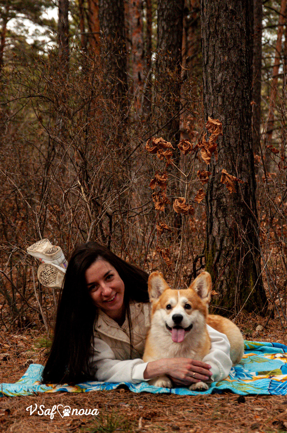 Локки и его команда 04.04.2021. Фотограф анималист Благовещенск. Сафонова Виктория