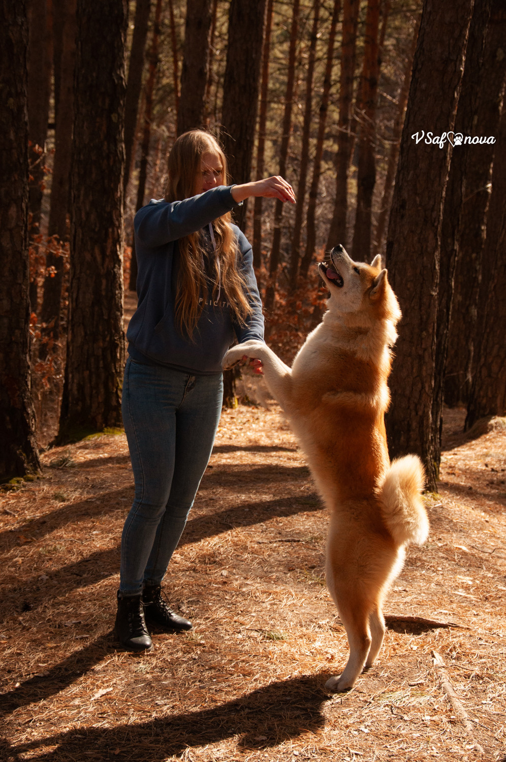 Алена, Кирилл и Фуми 09.04.2021. Фотограф анималист Благовещенск. Сафонова Виктория