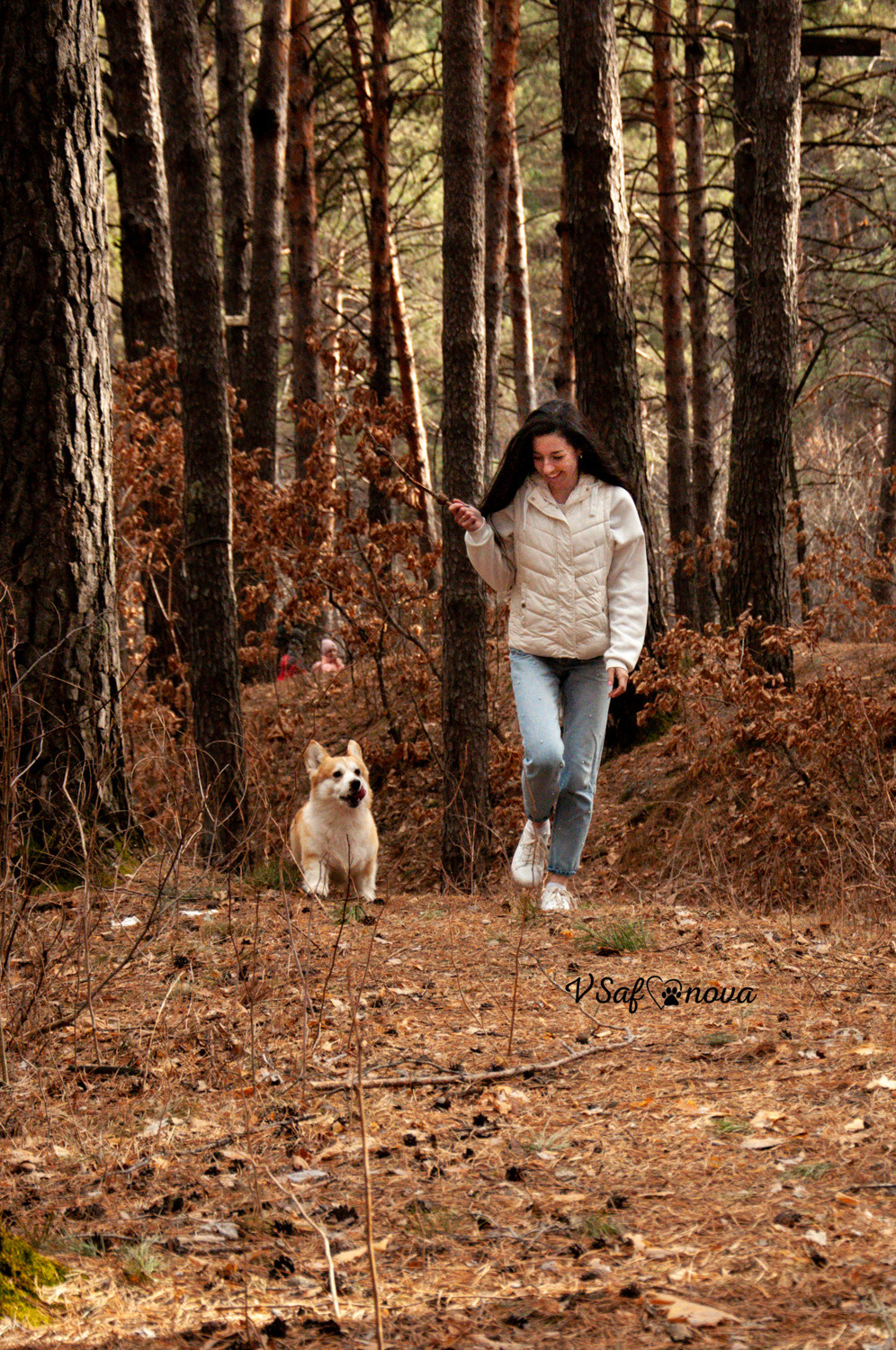 Локки и его команда 04.04.2021. Фотограф анималист Благовещенск. Сафонова Виктория