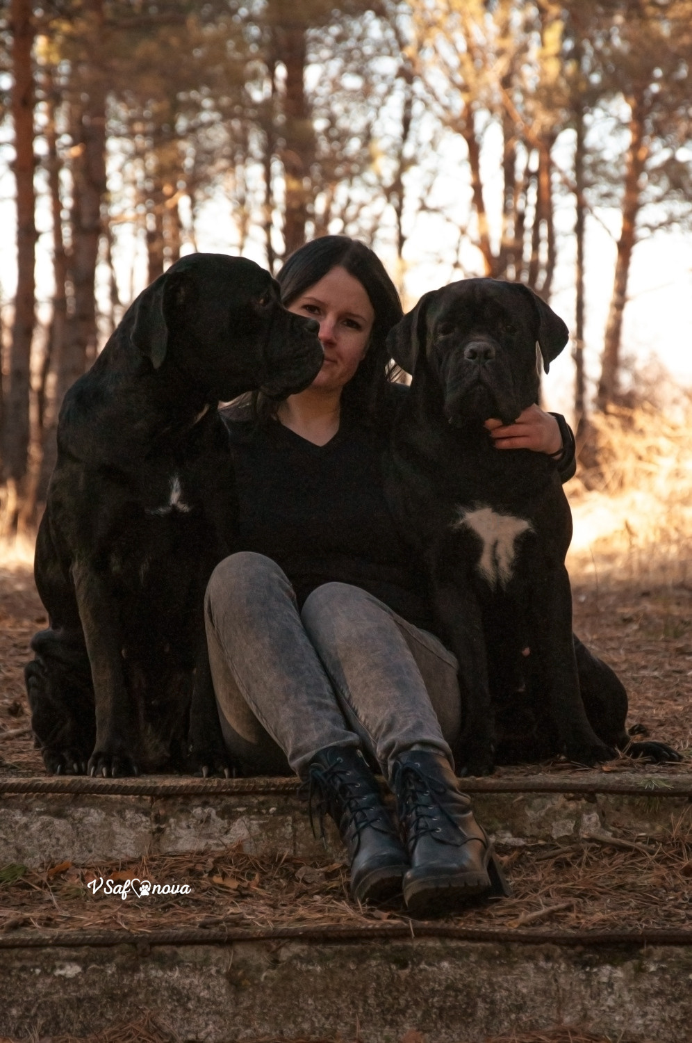 Таня, Прада и Тори 09.04.2021. Фотограф анималист Благовещенск. Сафонова Виктория