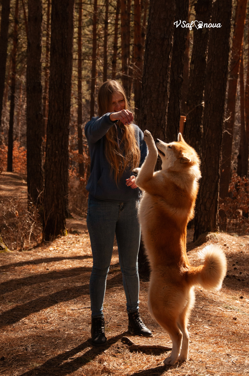 Алена, Кирилл и Фуми 09.04.2021. Фотограф анималист Благовещенск. Сафонова Виктория