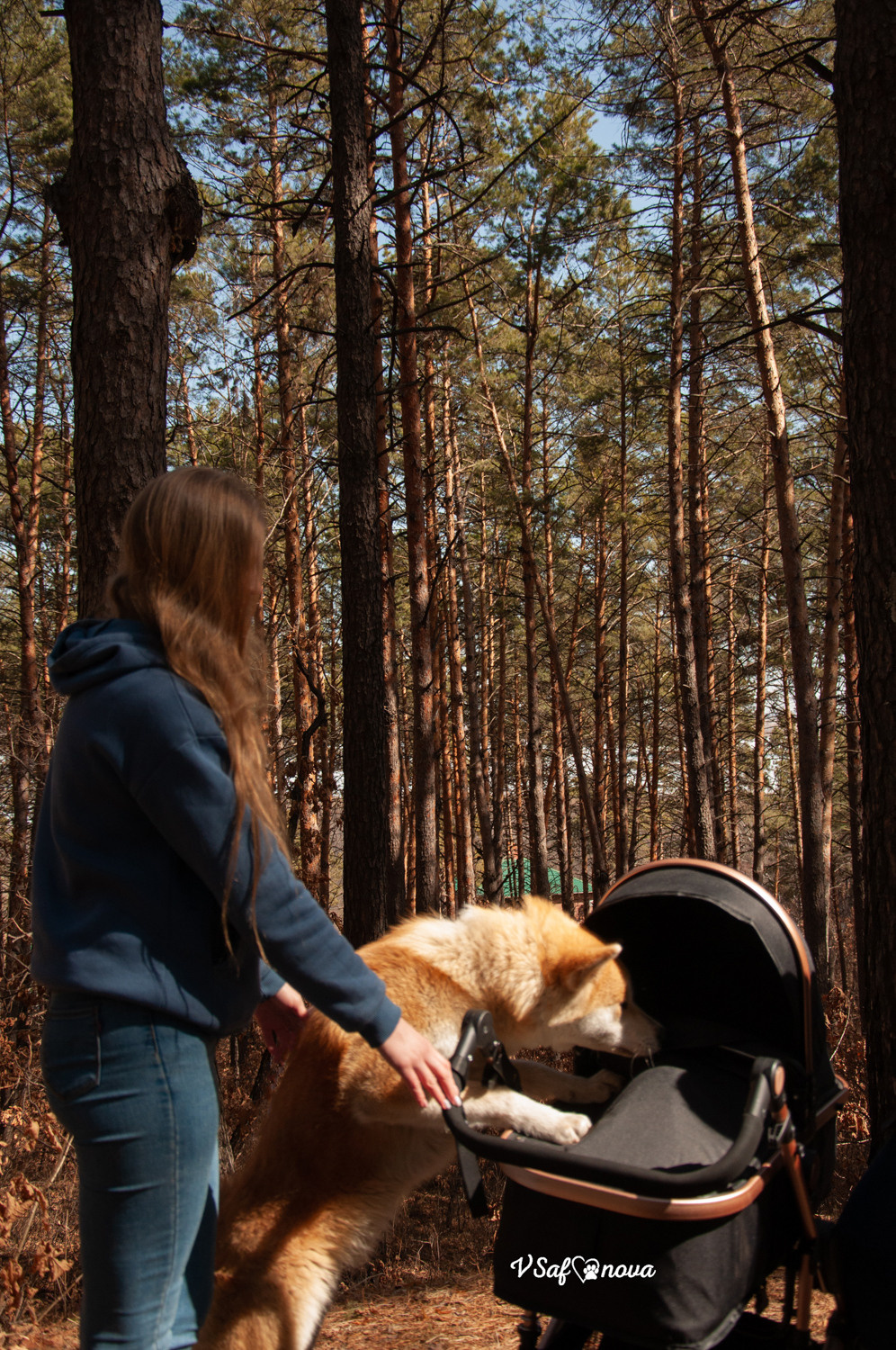 Алена, Кирилл и Фуми 09.04.2021. Фотограф анималист Благовещенск. Сафонова Виктория