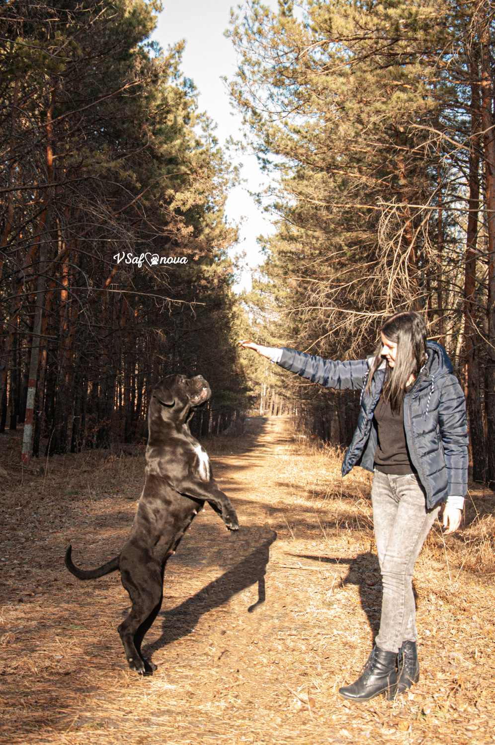 Таня, Прада и Тори 09.04.2021. Фотограф анималист Благовещенск. Сафонова Виктория