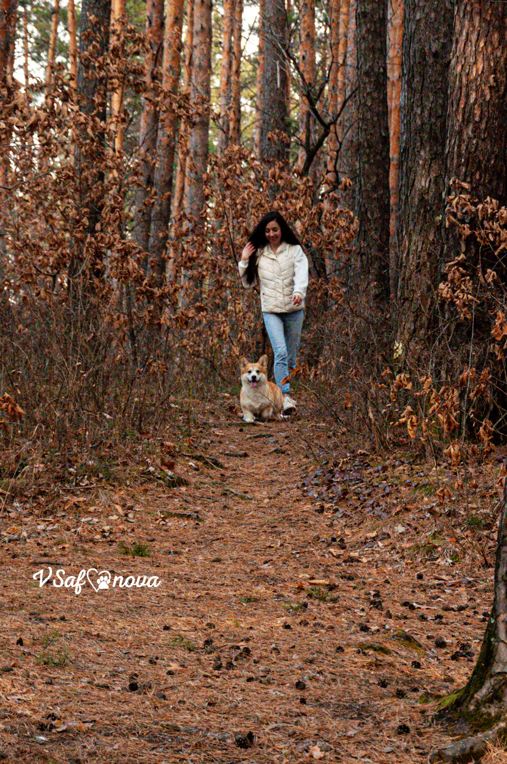 Локки и его команда 04.04.2021. Фотограф анималист Благовещенск. Сафонова Виктория